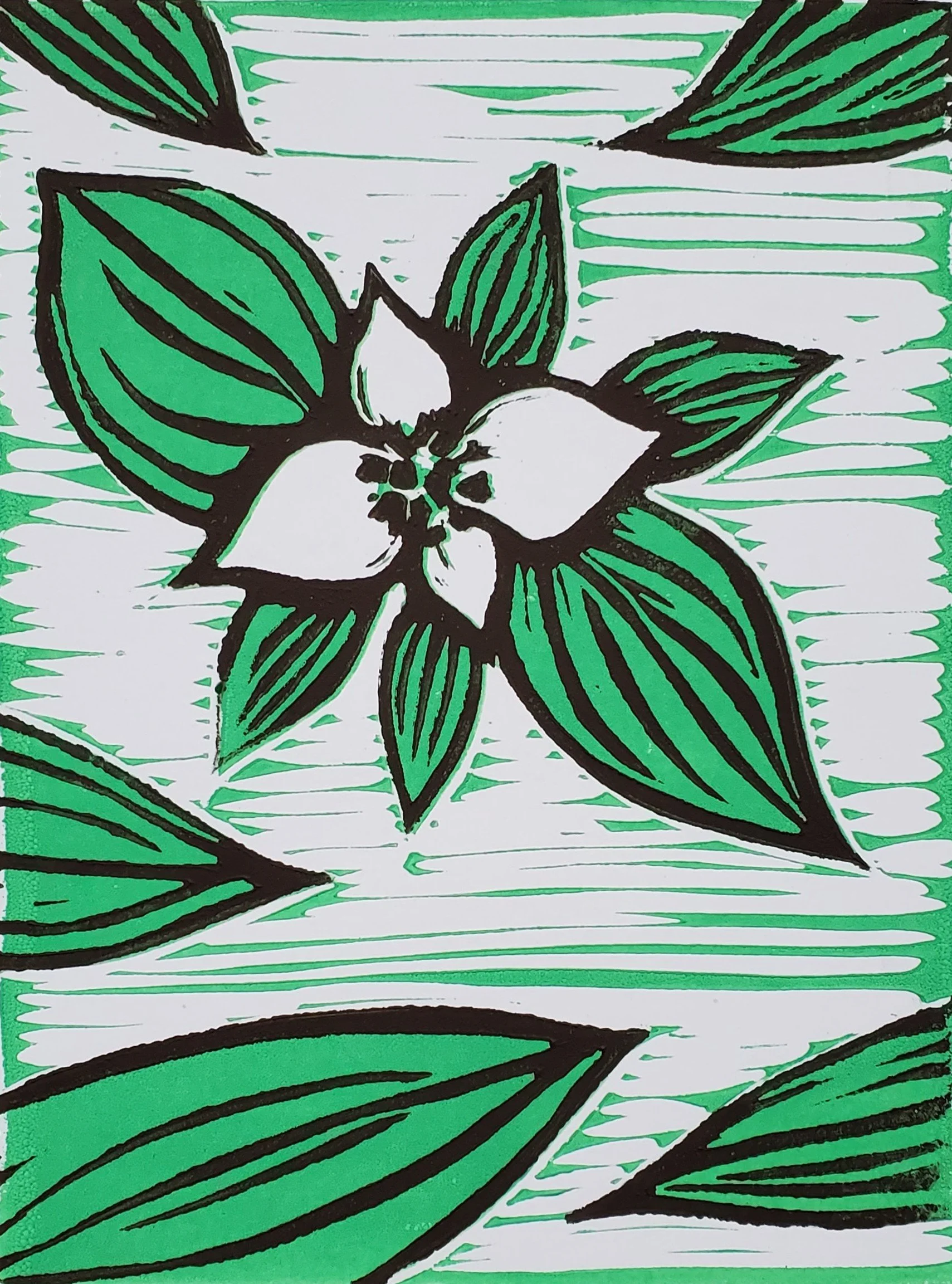 Plants