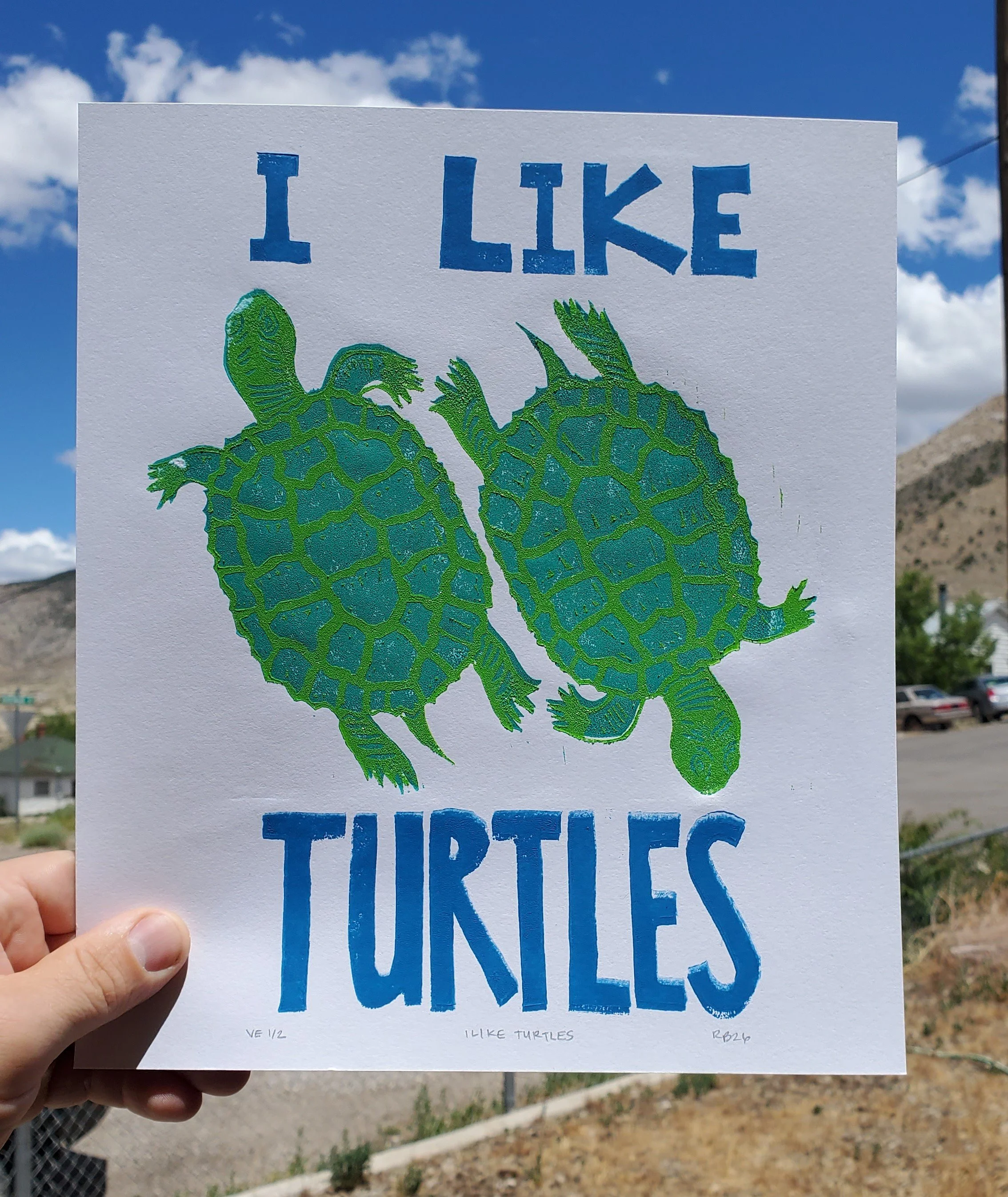 I Like Turtles Block Print