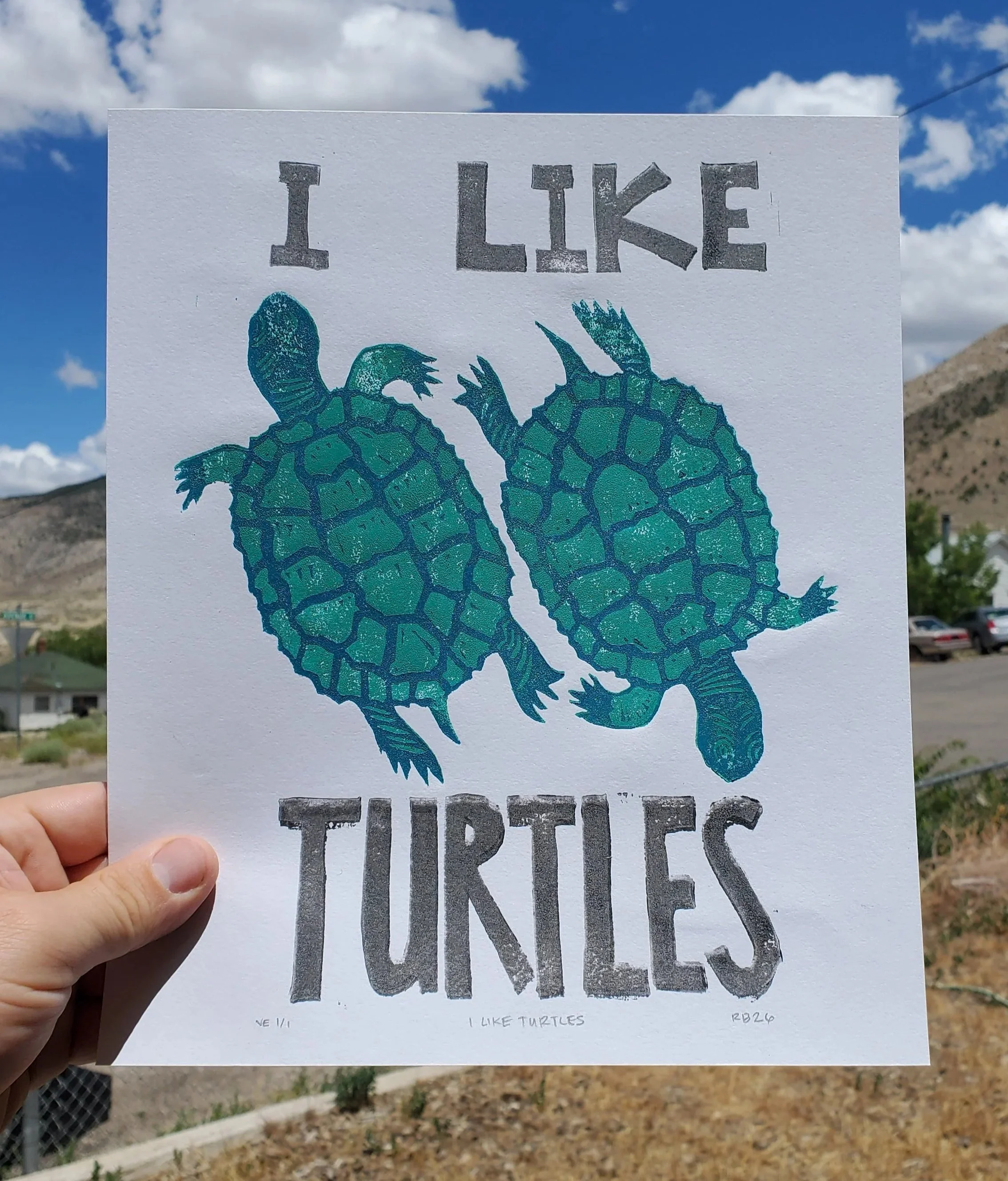 I Like Turtles Block Print
