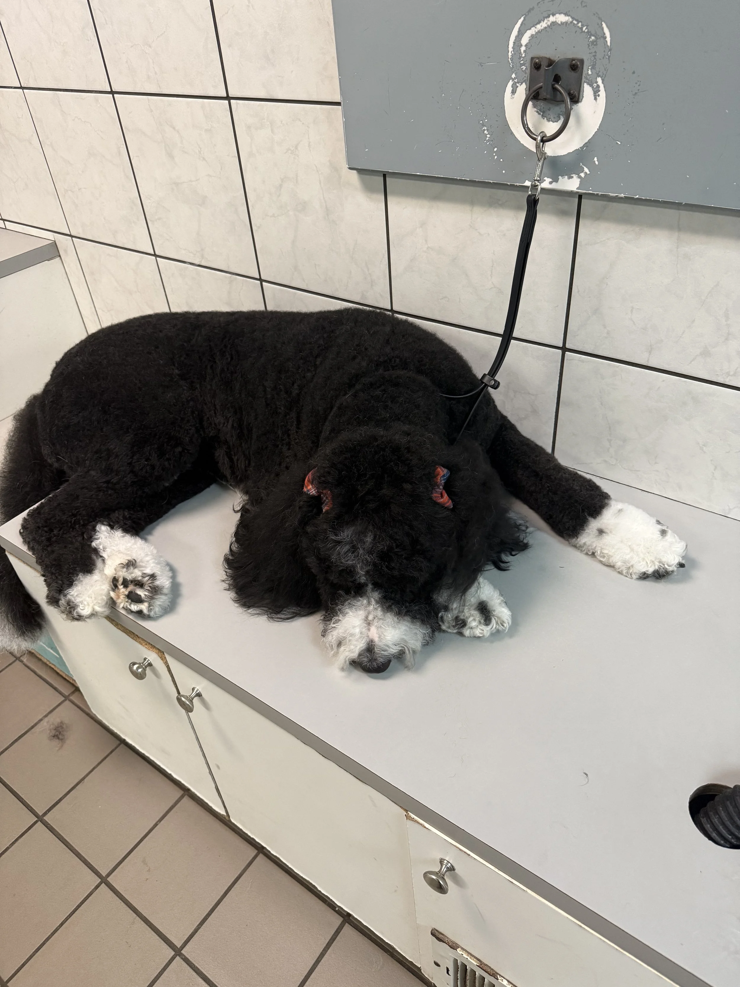 Photo Nov 21 2025, 11 07 45 AM.jpg