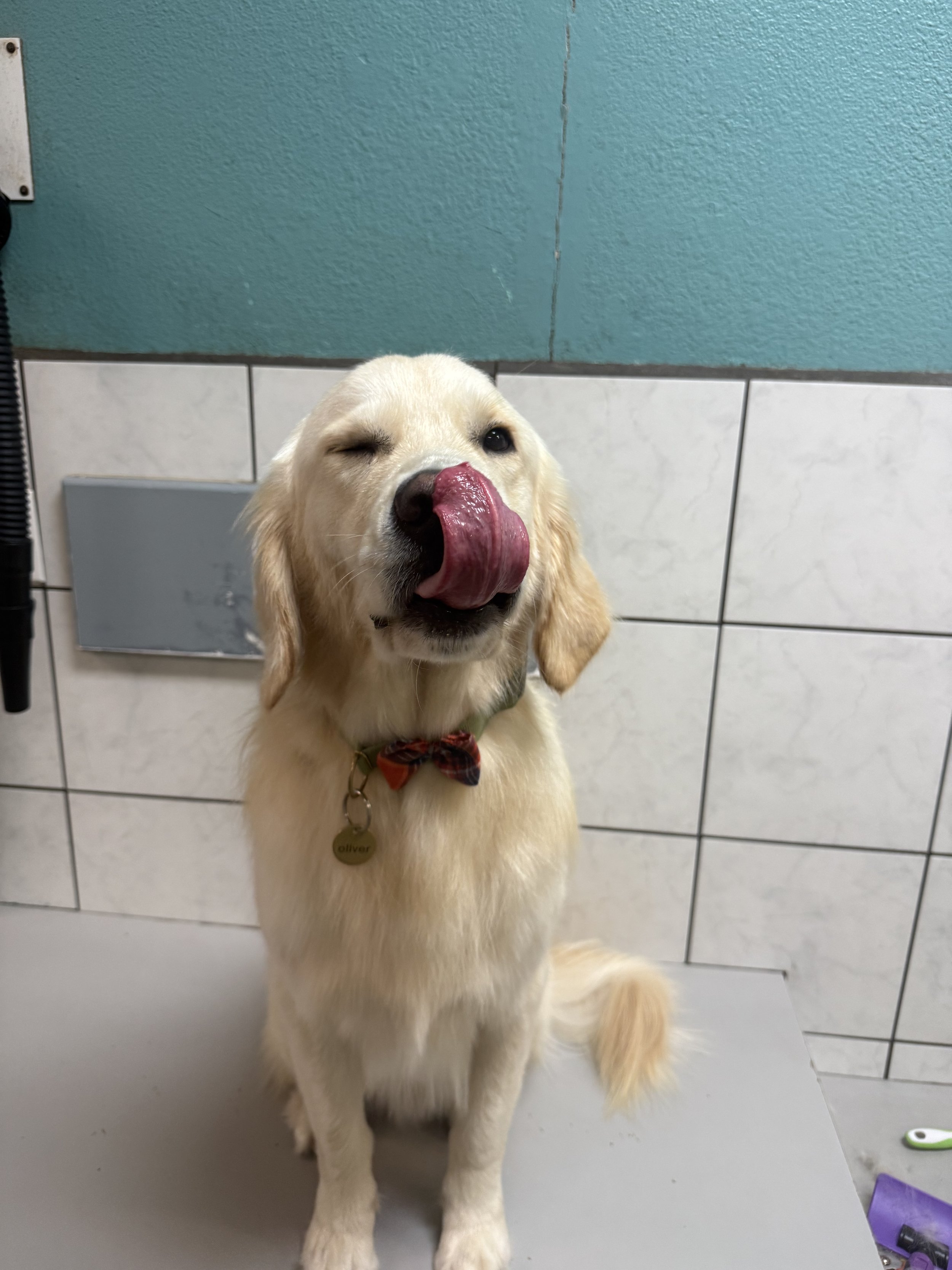 Photo Nov 08 2025, 11 11 50 AM.jpg