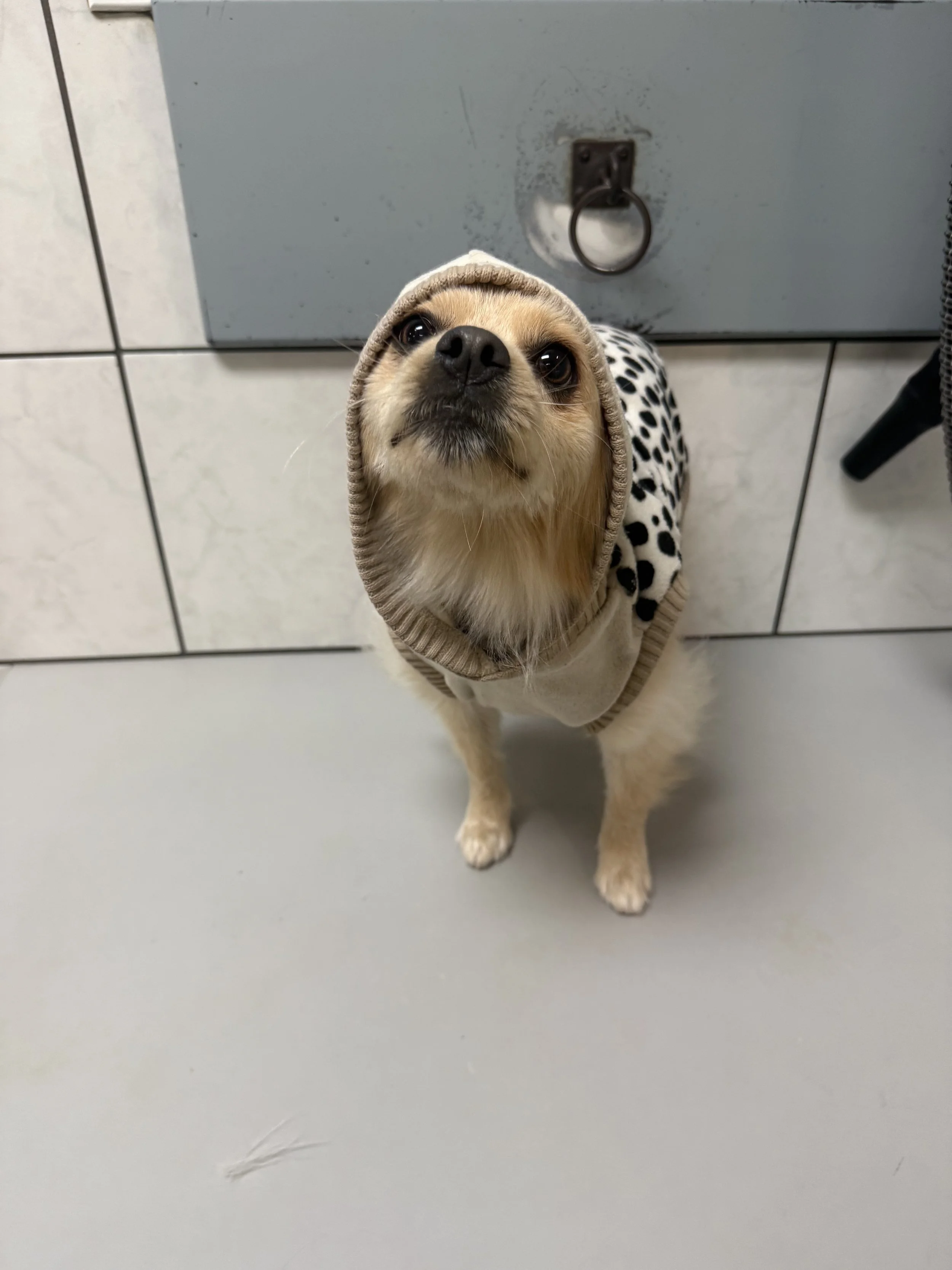 Photo Nov 19 2025, 1 09 49 PM.jpg