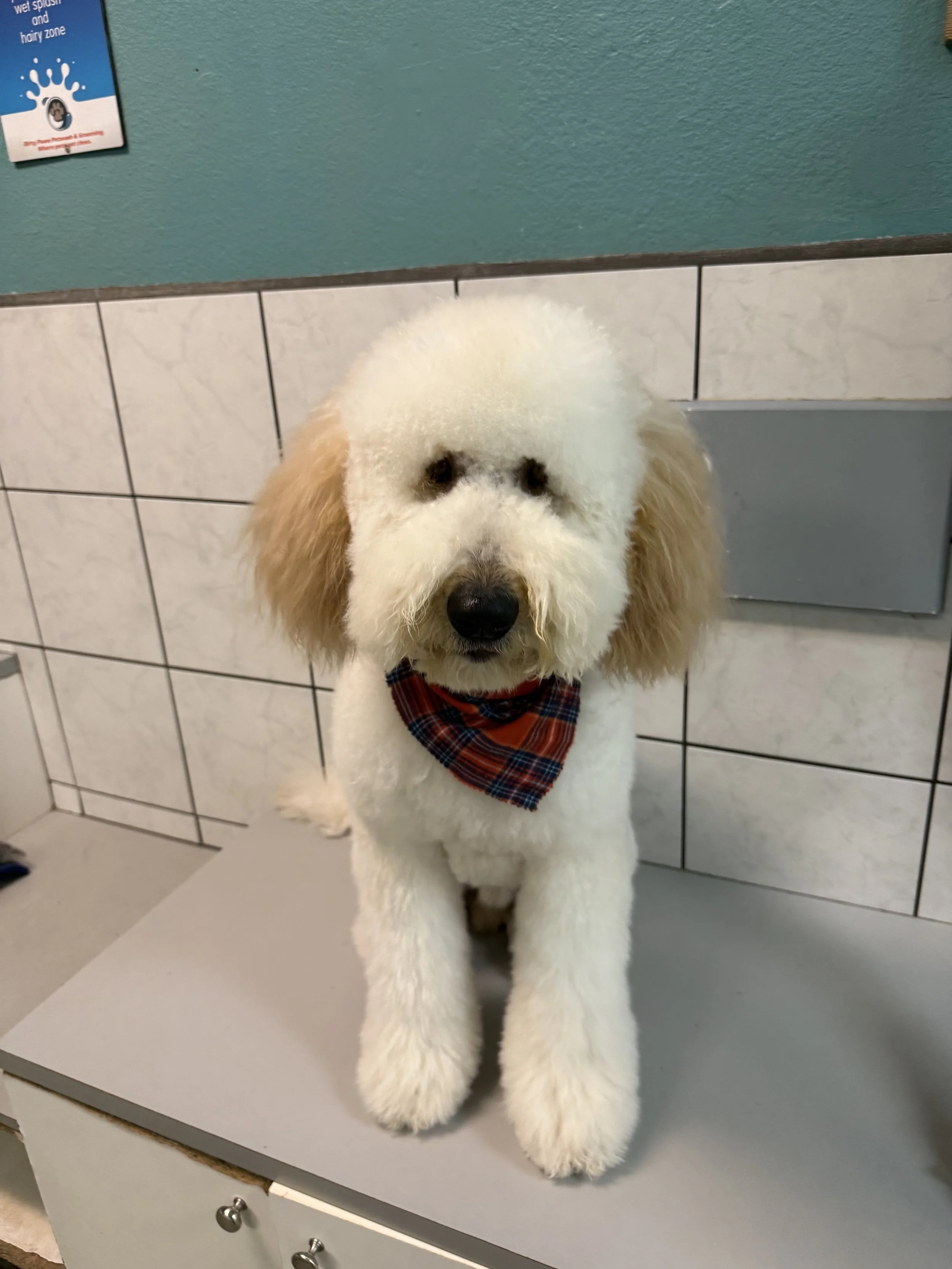 Photo Nov 14 2025, 3 56 34 PM.jpg