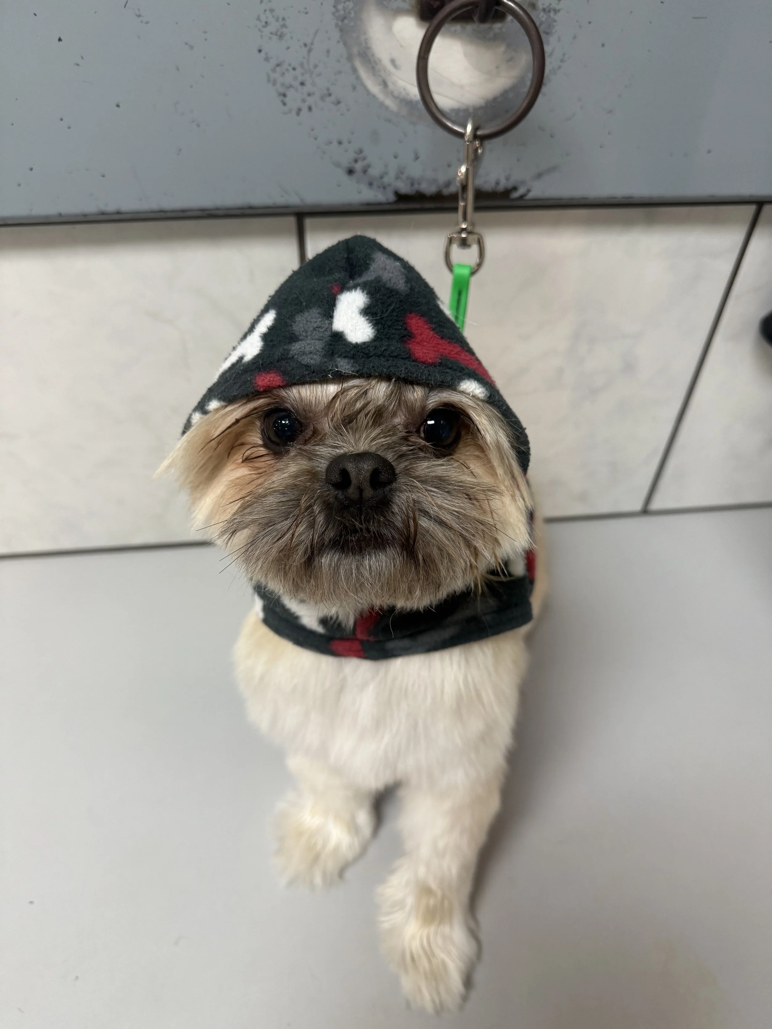 Photo Nov 19 2025, 12 58 16 PM.jpg