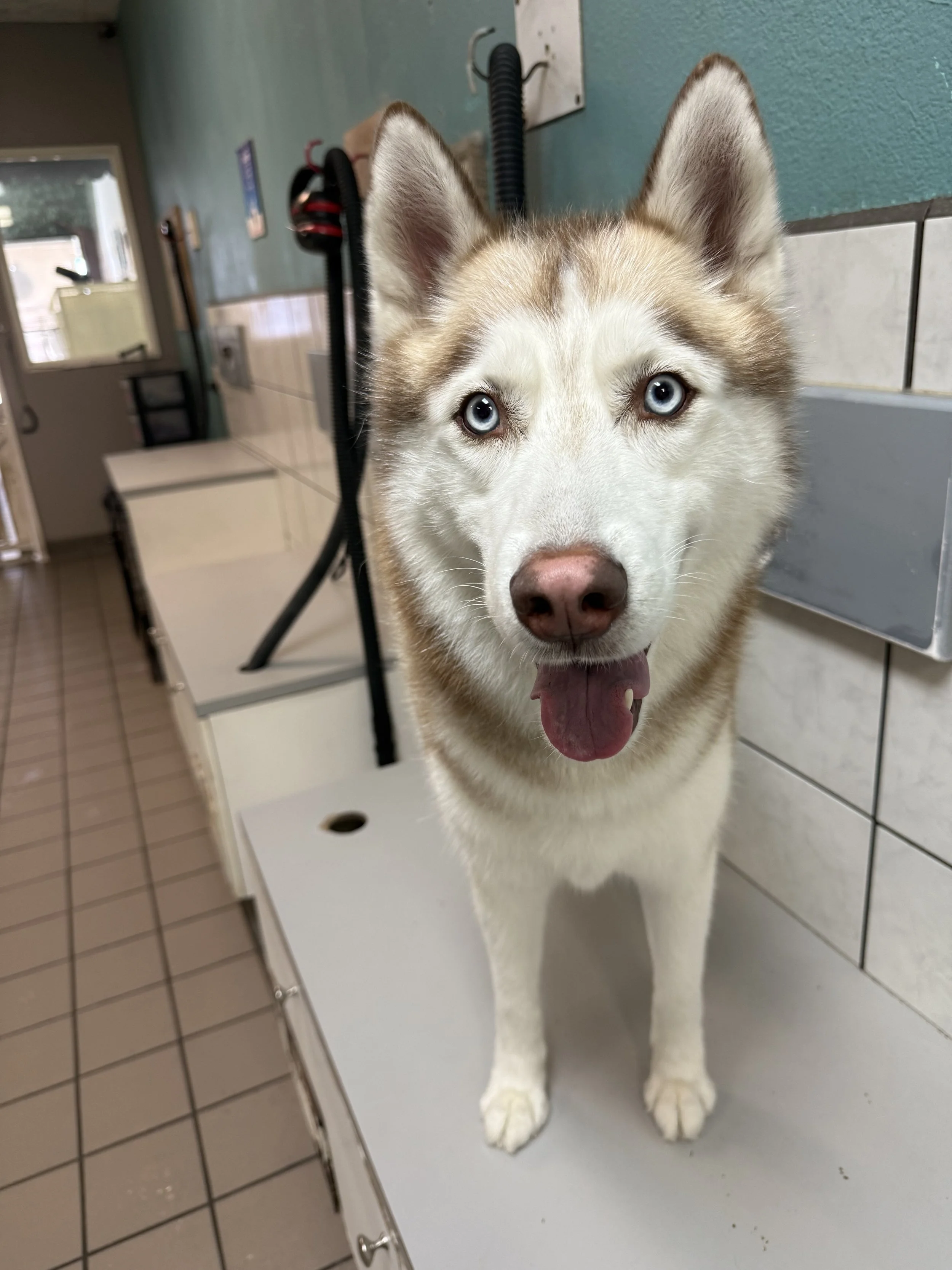 Photo Oct 30 2025, 3 41 34 PM.jpg