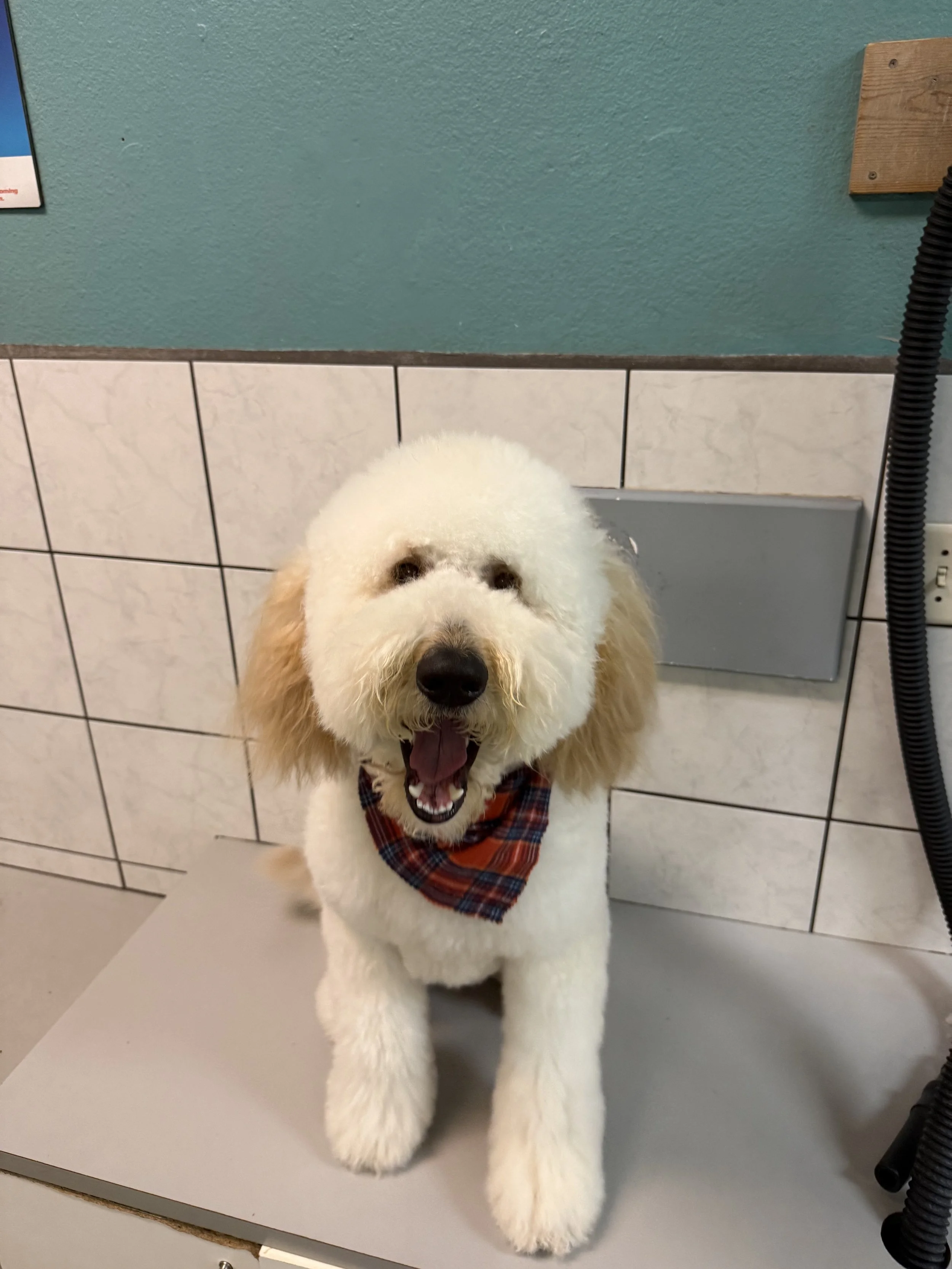 Photo Nov 14 2025, 3 56 44 PM.jpg