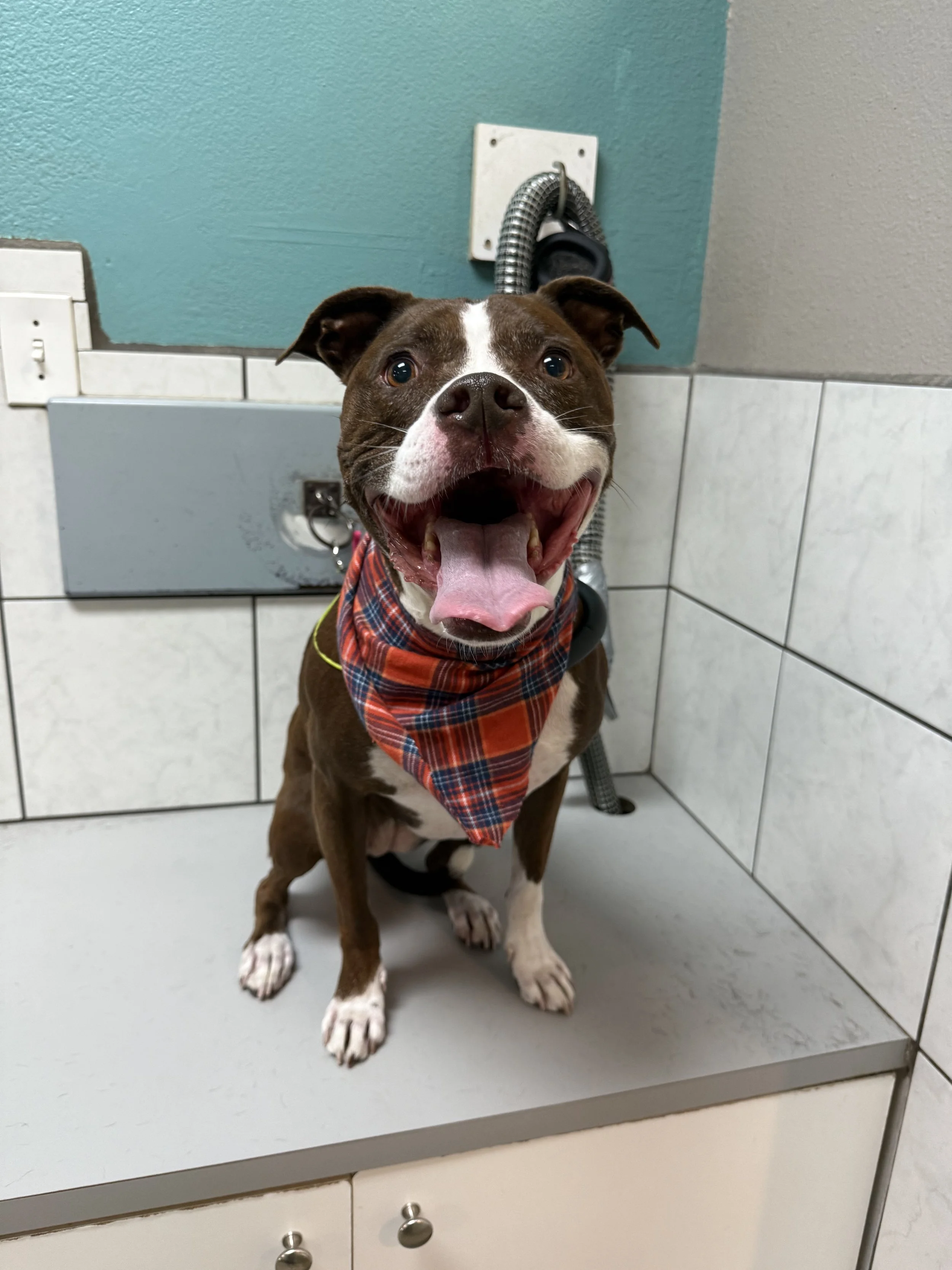 Photo Nov 08 2025, 9 41 12 AM.jpg