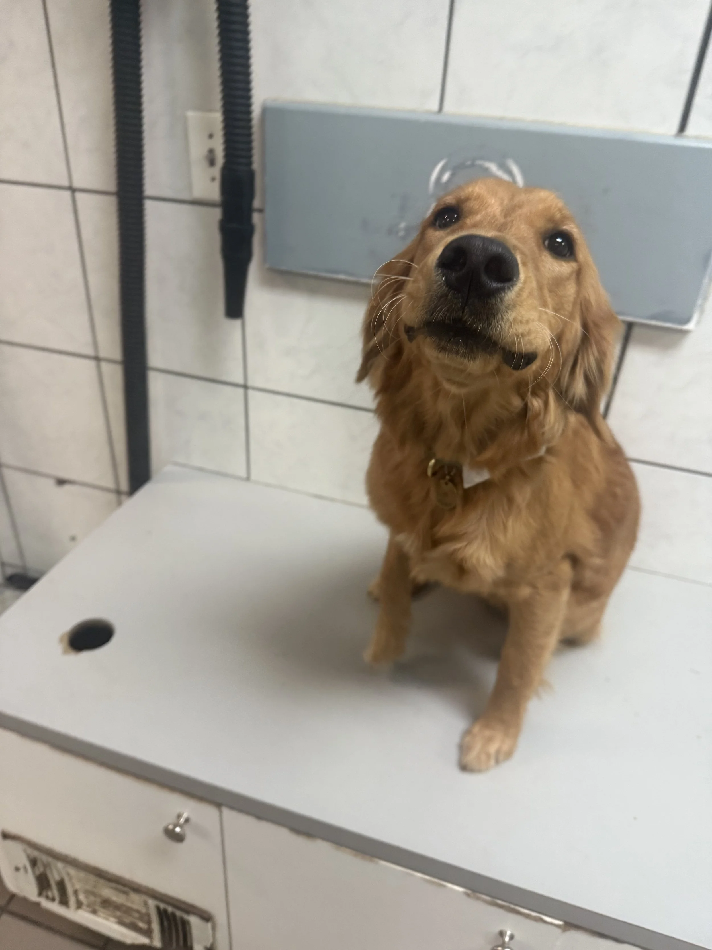 Photo Oct 18 2025, 2 13 31 PM.jpg