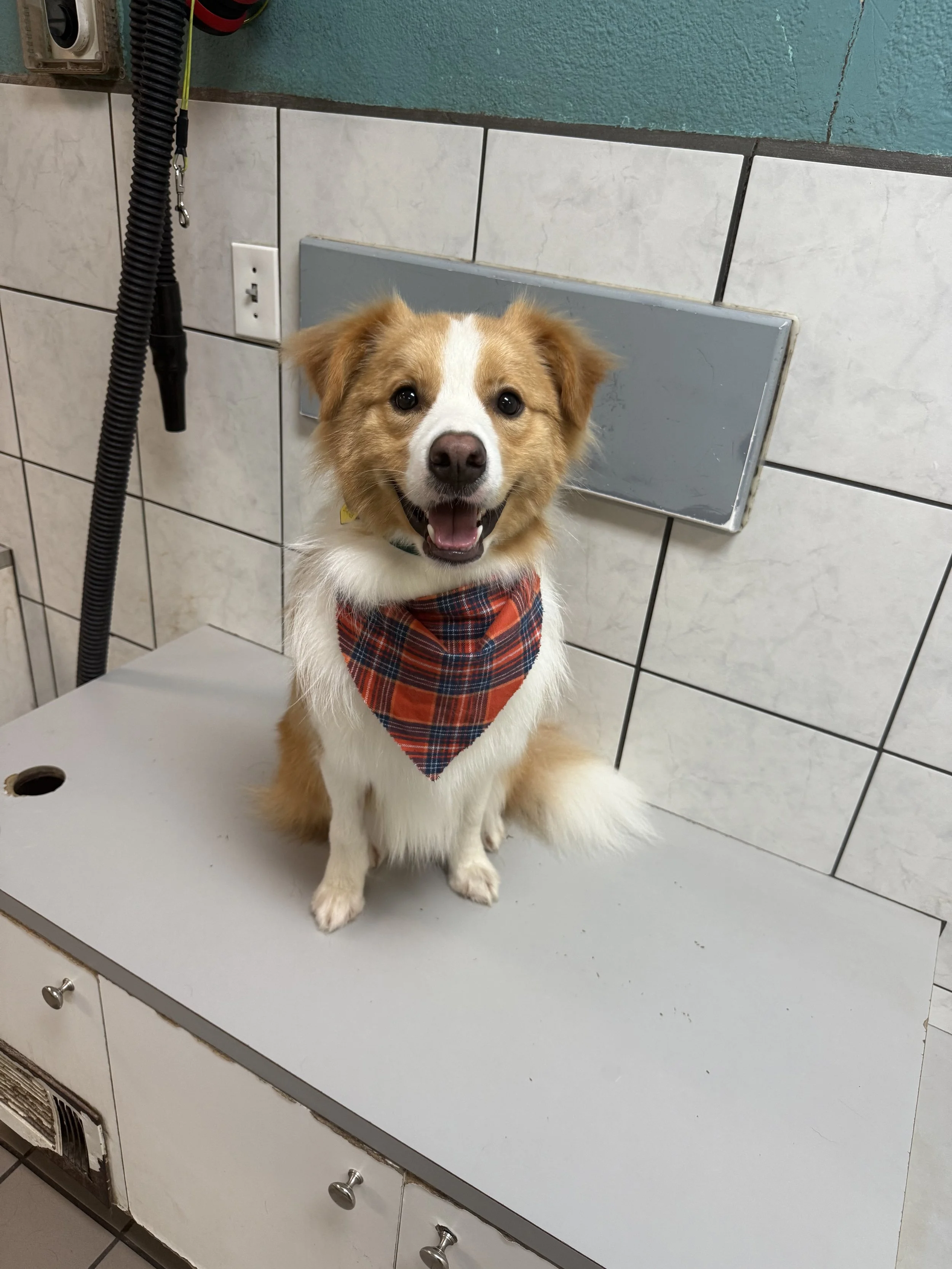 Photo Nov 17 2025, 9 53 06 AM.jpg