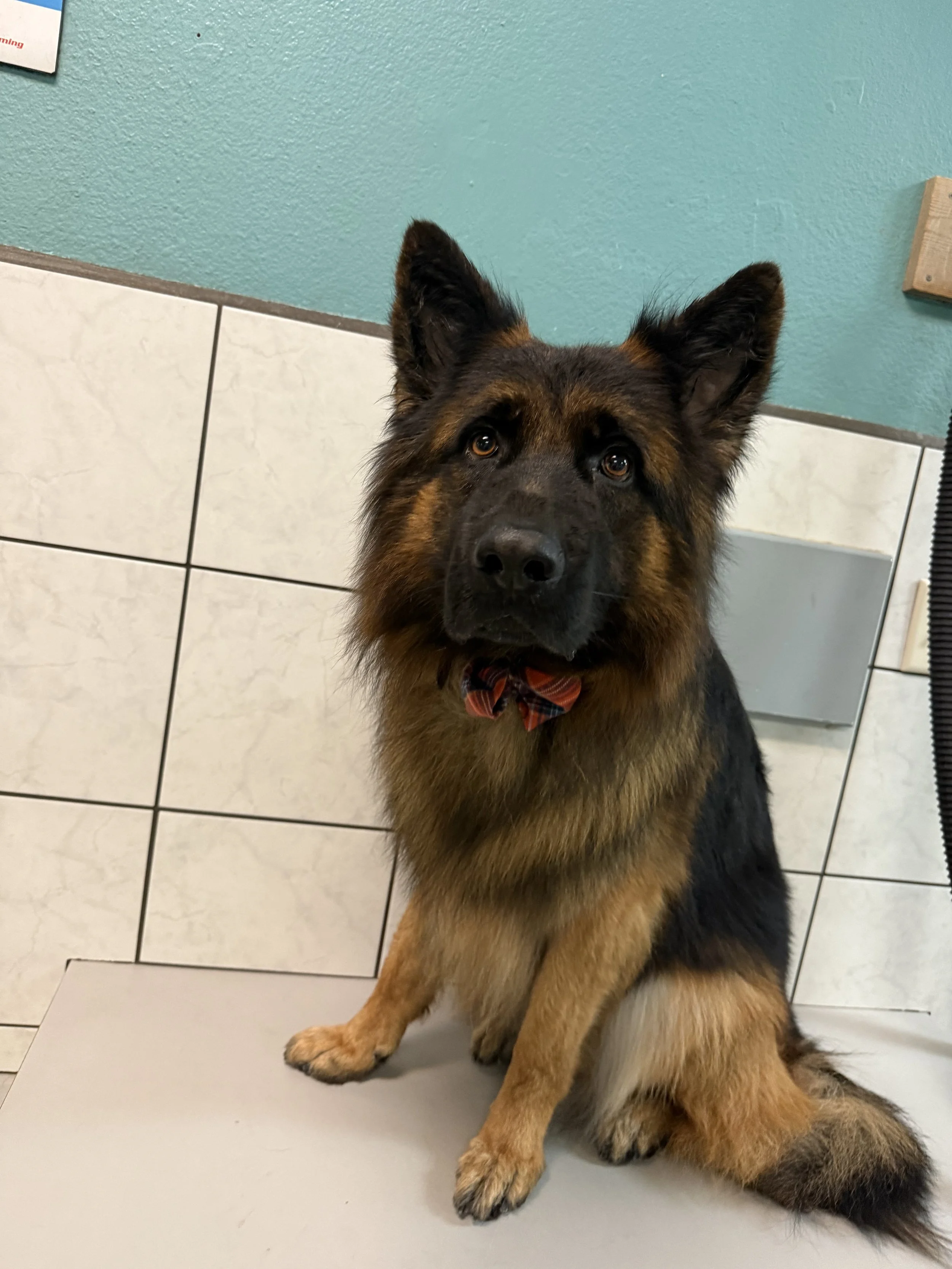 Photo Nov 06 2025, 4 15 12 PM.jpg