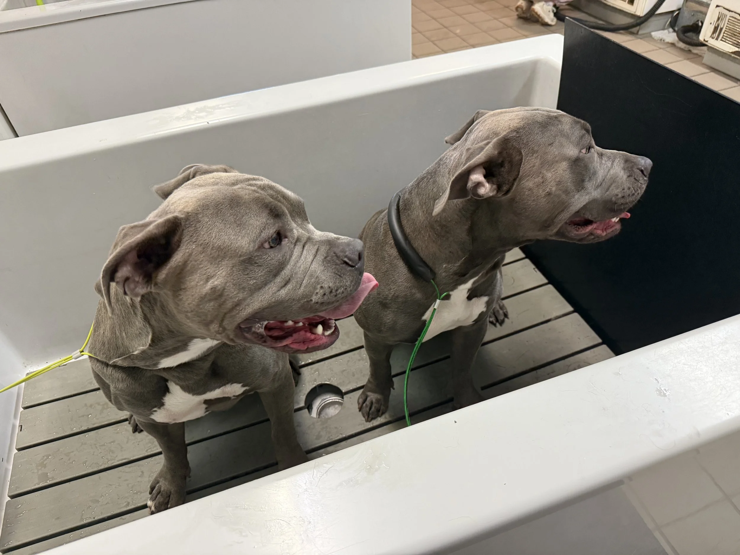 Photo Oct 30 2025, 12 35 21 PM.jpg