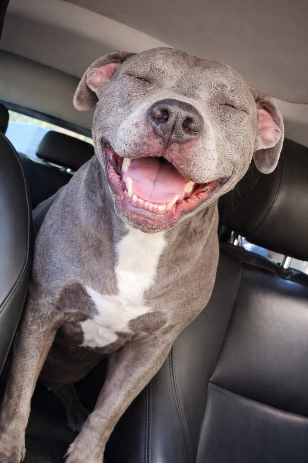 Store Manager/Bather