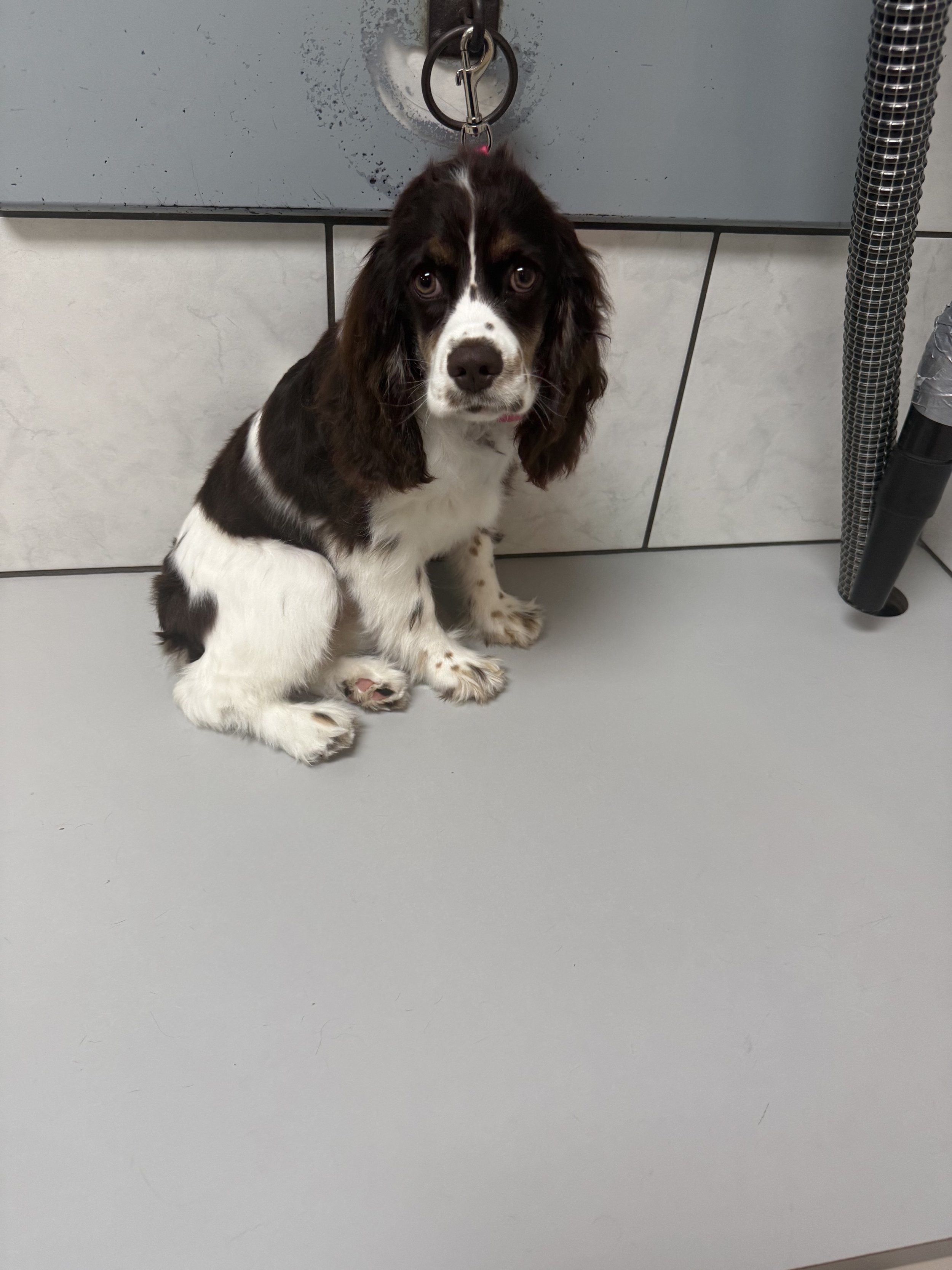 Photo Oct 15 2025, 12 24 34 PM.jpg