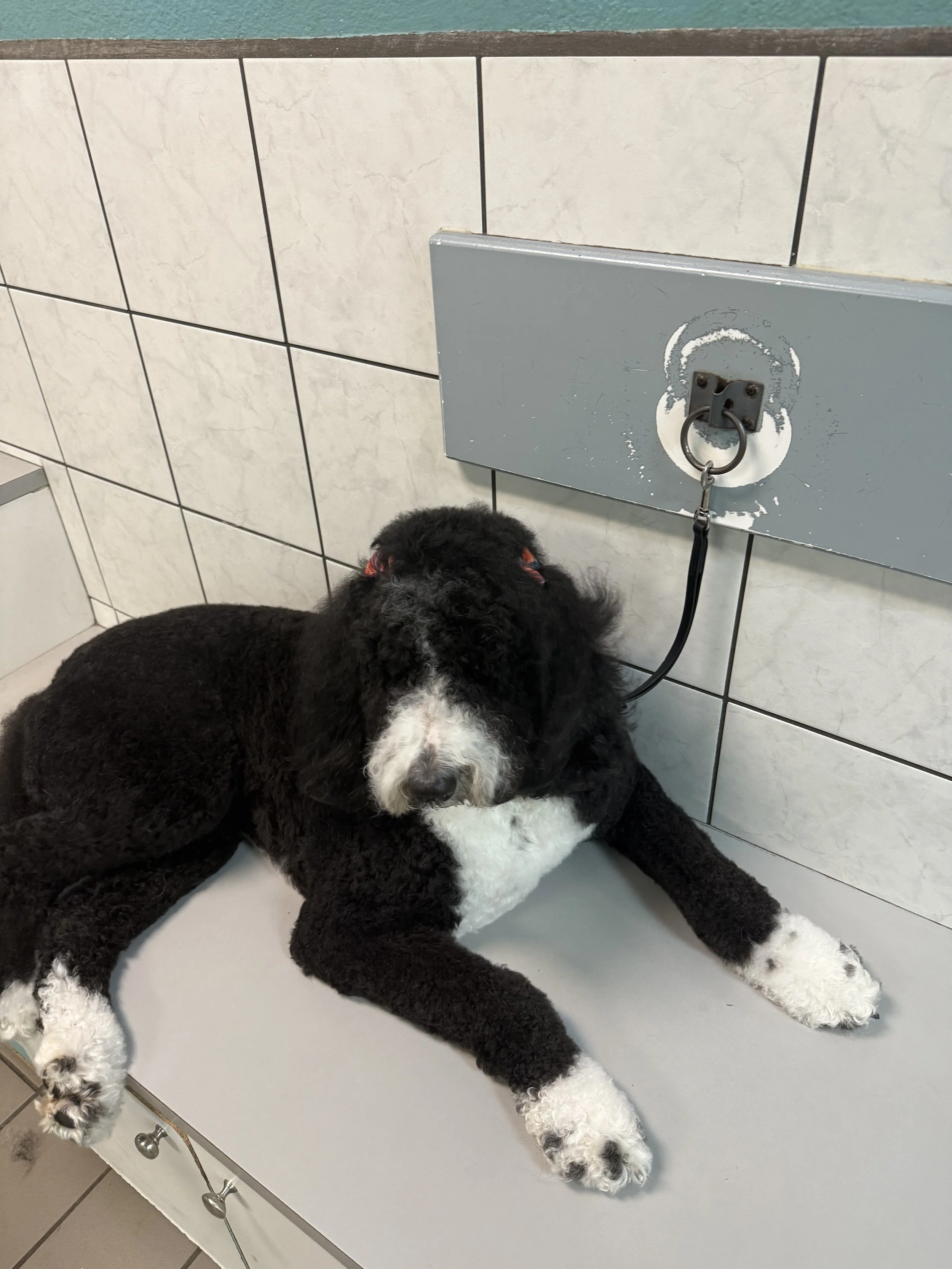 Photo Nov 21 2025, 11 07 56 AM.jpg