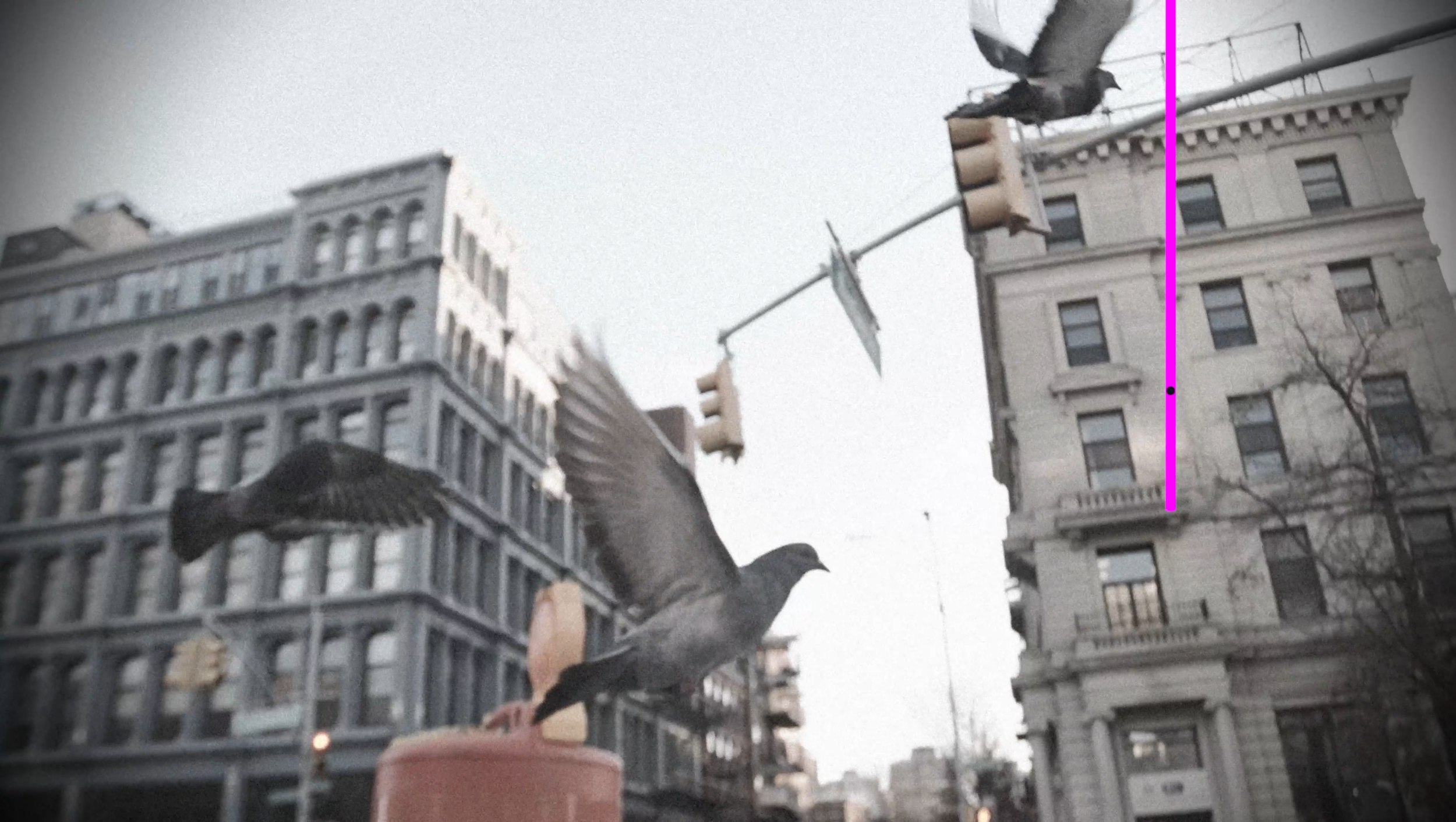 Hogarth World Wide: NY Through Tomorrow