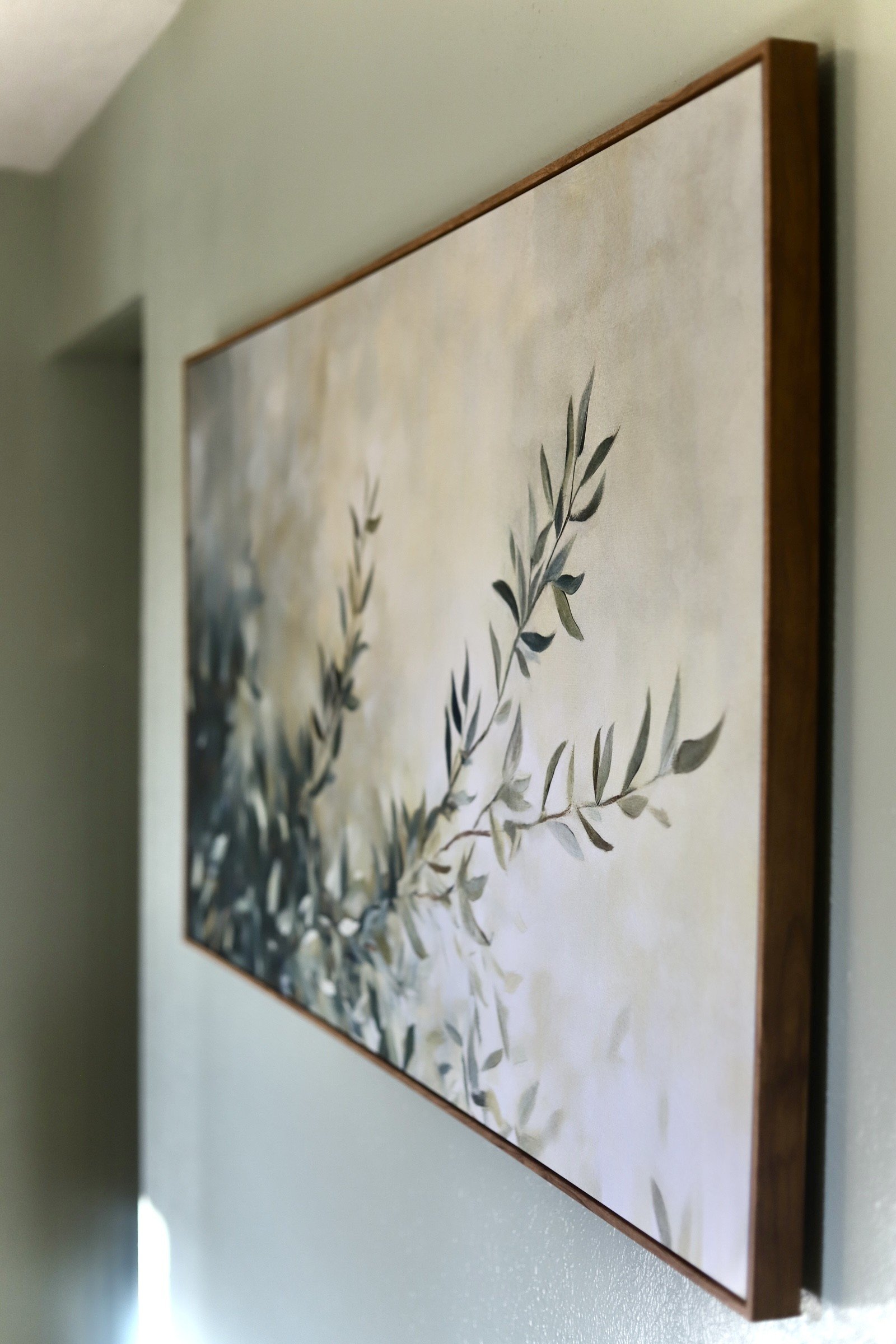 olive tree.jpg