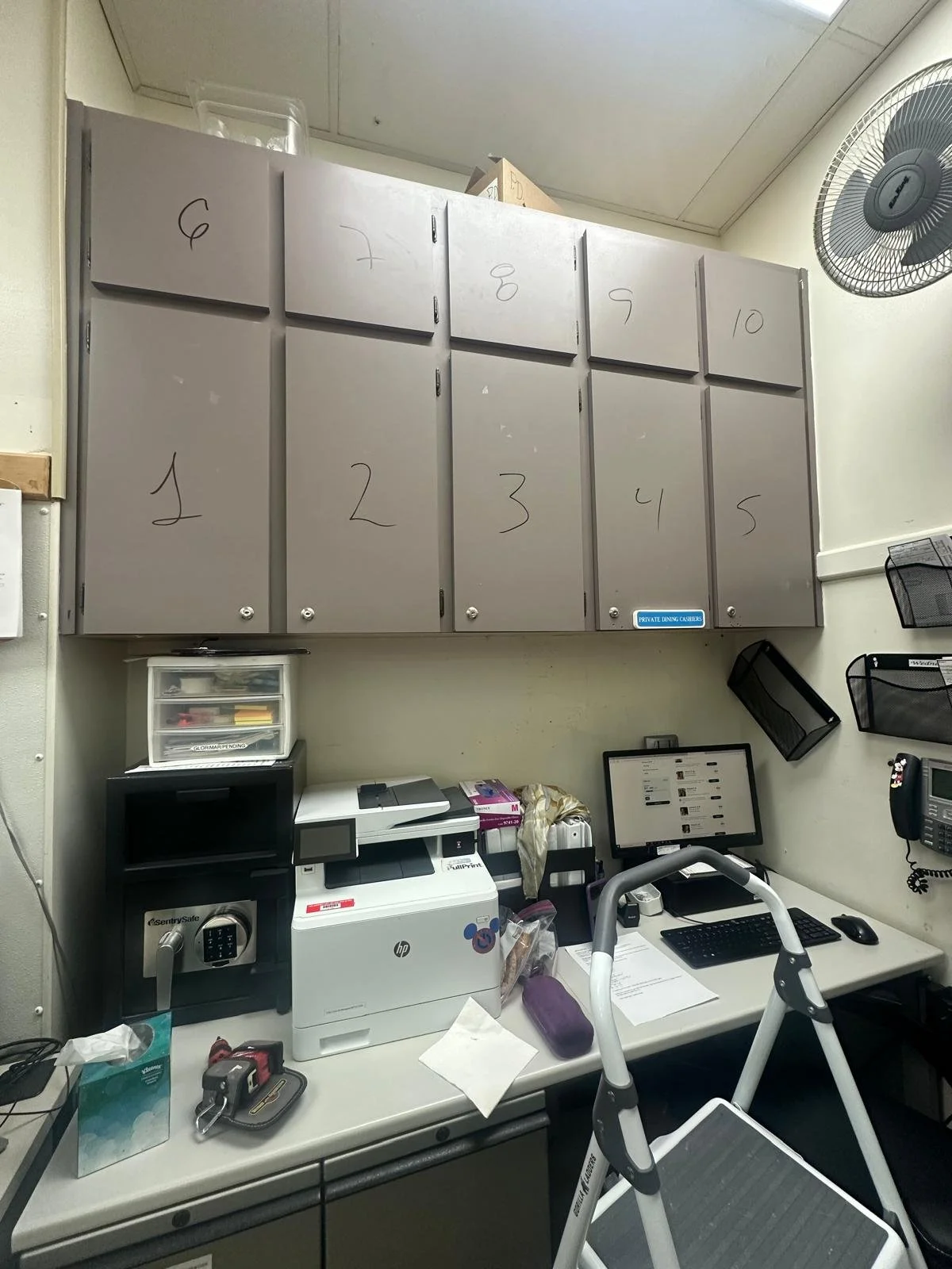 WhatsApp Image 2025-12-04 at 12.42.44.jpeg