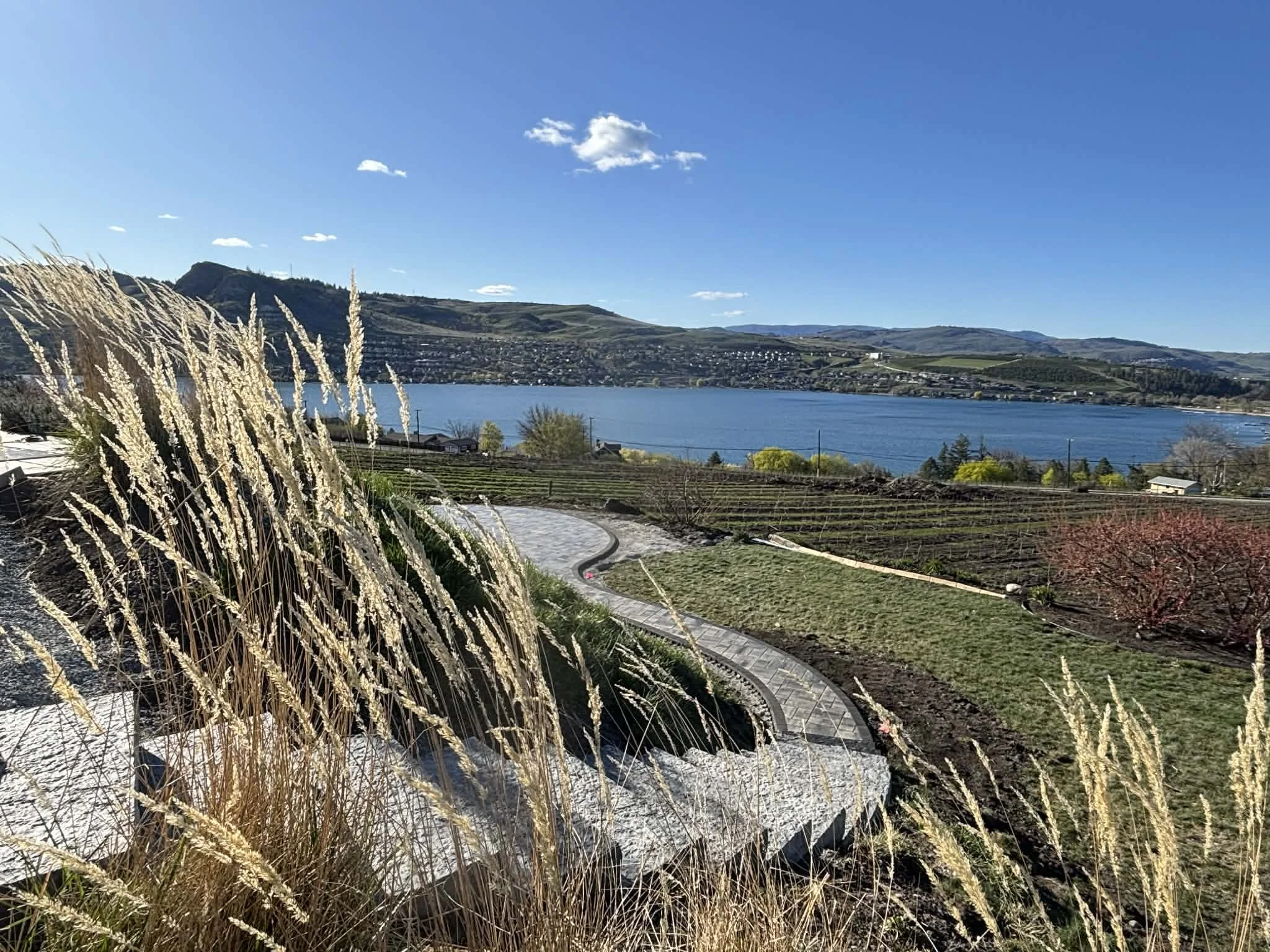 Sunny day overlooking a rural landscape with a lake, hills, and cultivated fields, with tall ornamental grasses in the foreground.