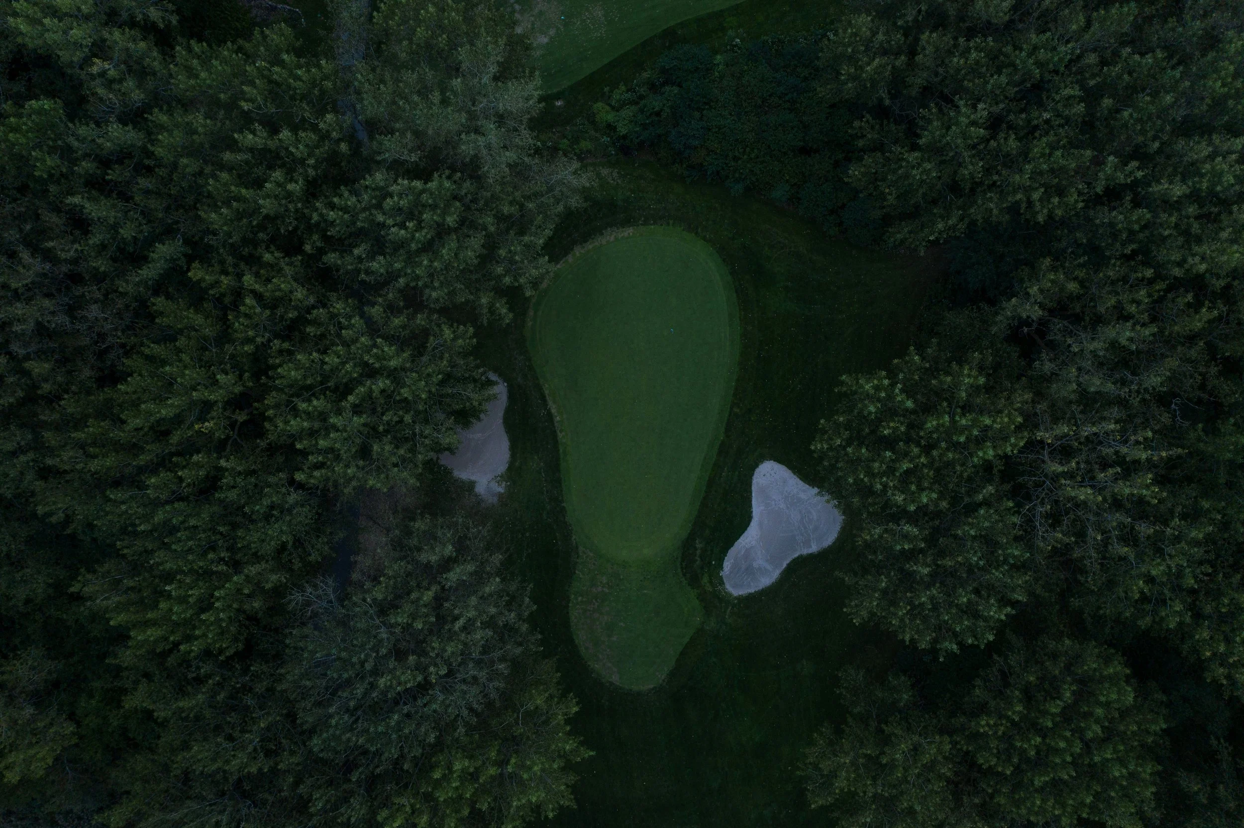 Aerial view of a golf green surrounded by trees and sand bunkers.