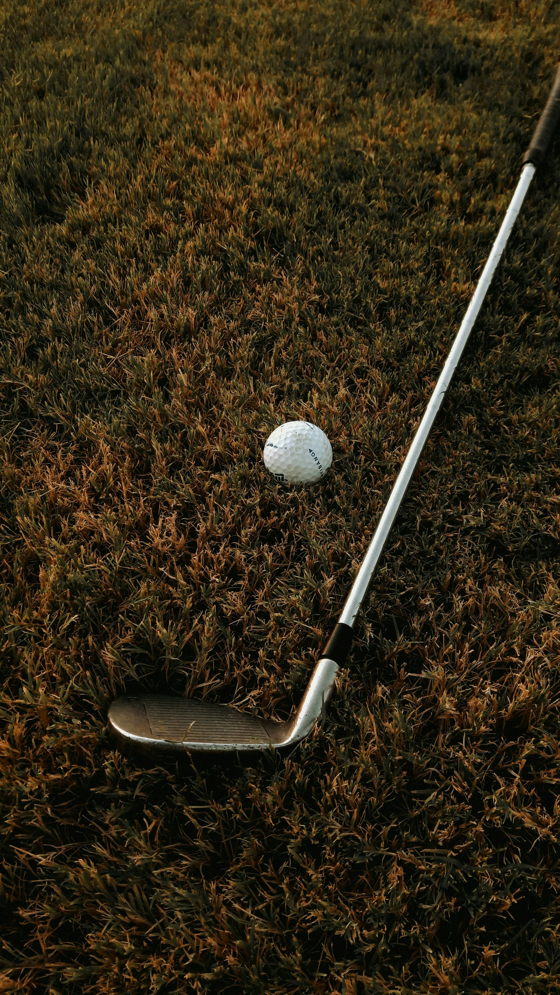 A golf club, a golf ball, and an iron golf club lying on grass.