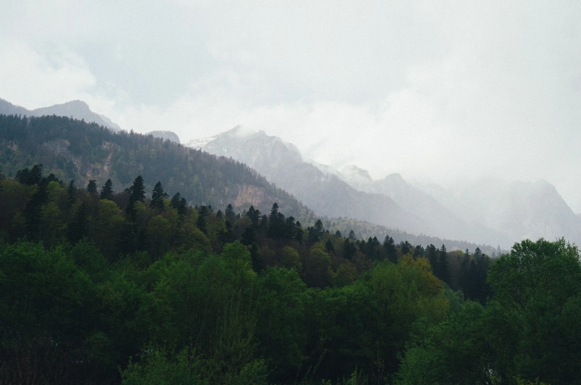 stefan sona-9970844.jpg