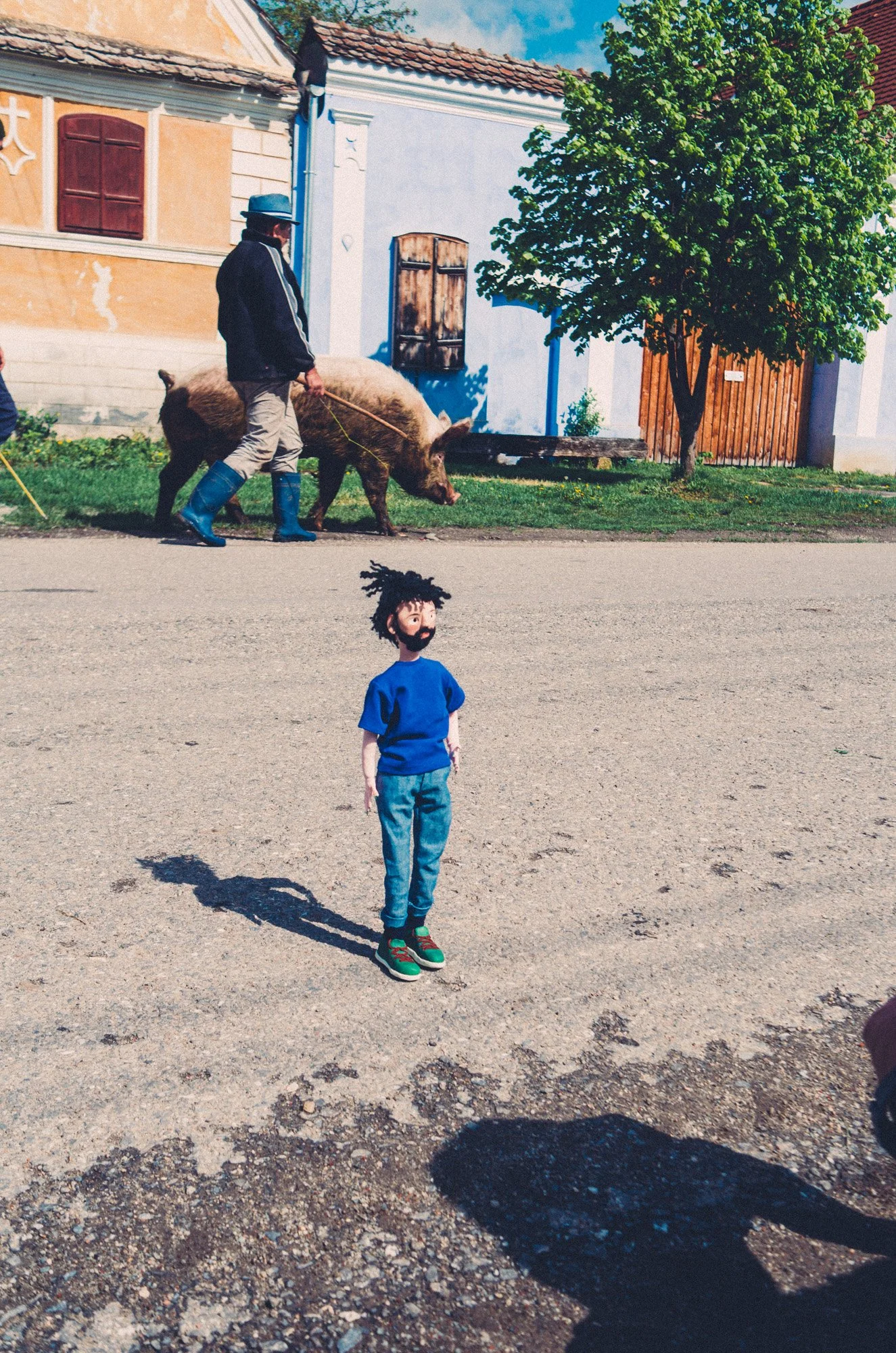 stefan sona-9970809.jpg