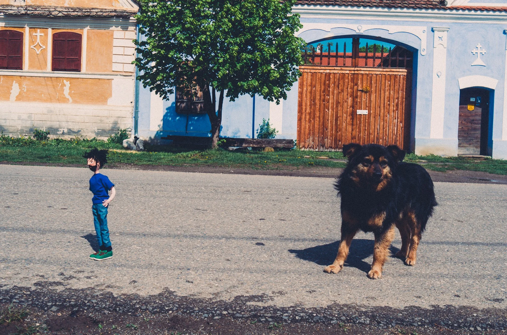 stefan sona-9970807.jpg