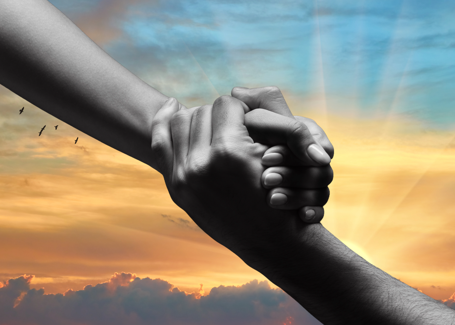 Two hands clasped in a handshake, one in black and white and one in color, against a sunset sky with clouds and birds flying in the background.