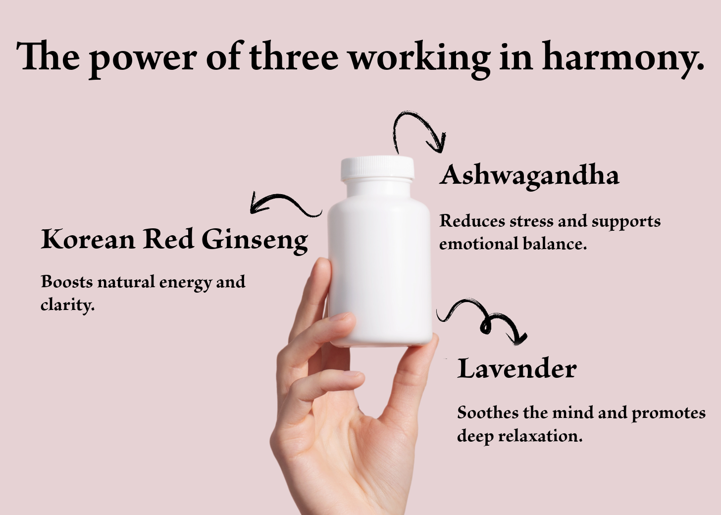 A white bottle held by a hand, labeled with the benefits of Korean Red Ginseng, Ashwagandha, and Lavender, promoting harmony, stress reduction, and relaxation.
