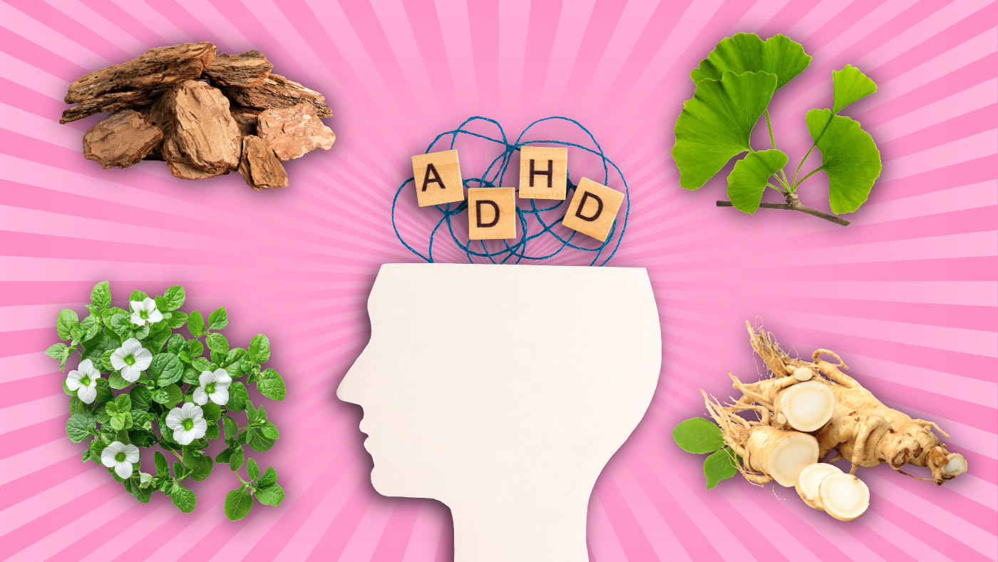 Illustration of a human head silhouette with natural herbs and roots around it, including ginseng, ginkgo leaves, primrose, and bark, with wooden blocks spelling 'ADD' above the head, on pink radiating background.