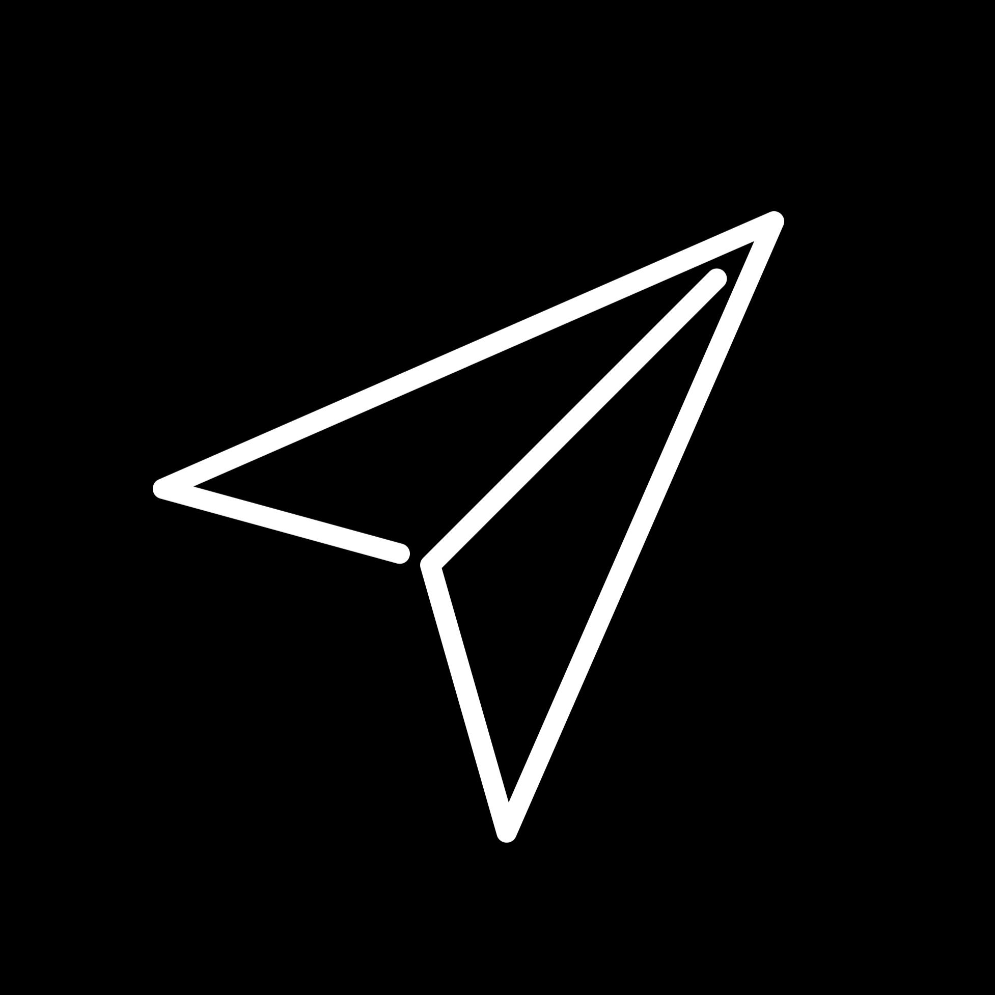 Rep Paper Boeing 737-800 | White Poster — Paperplane