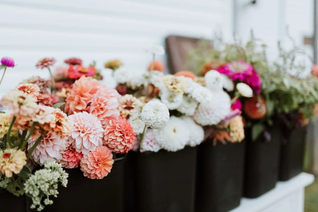 Jonathan&Karilee'sWeddingWedding-1204.jpg