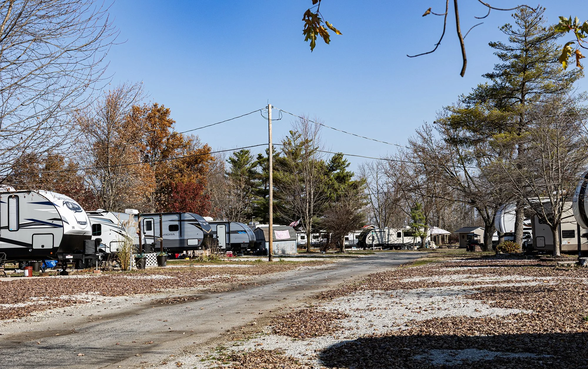 Campground with multiple RVs parked among leafless and evergreen trees, under a clear blue sky.