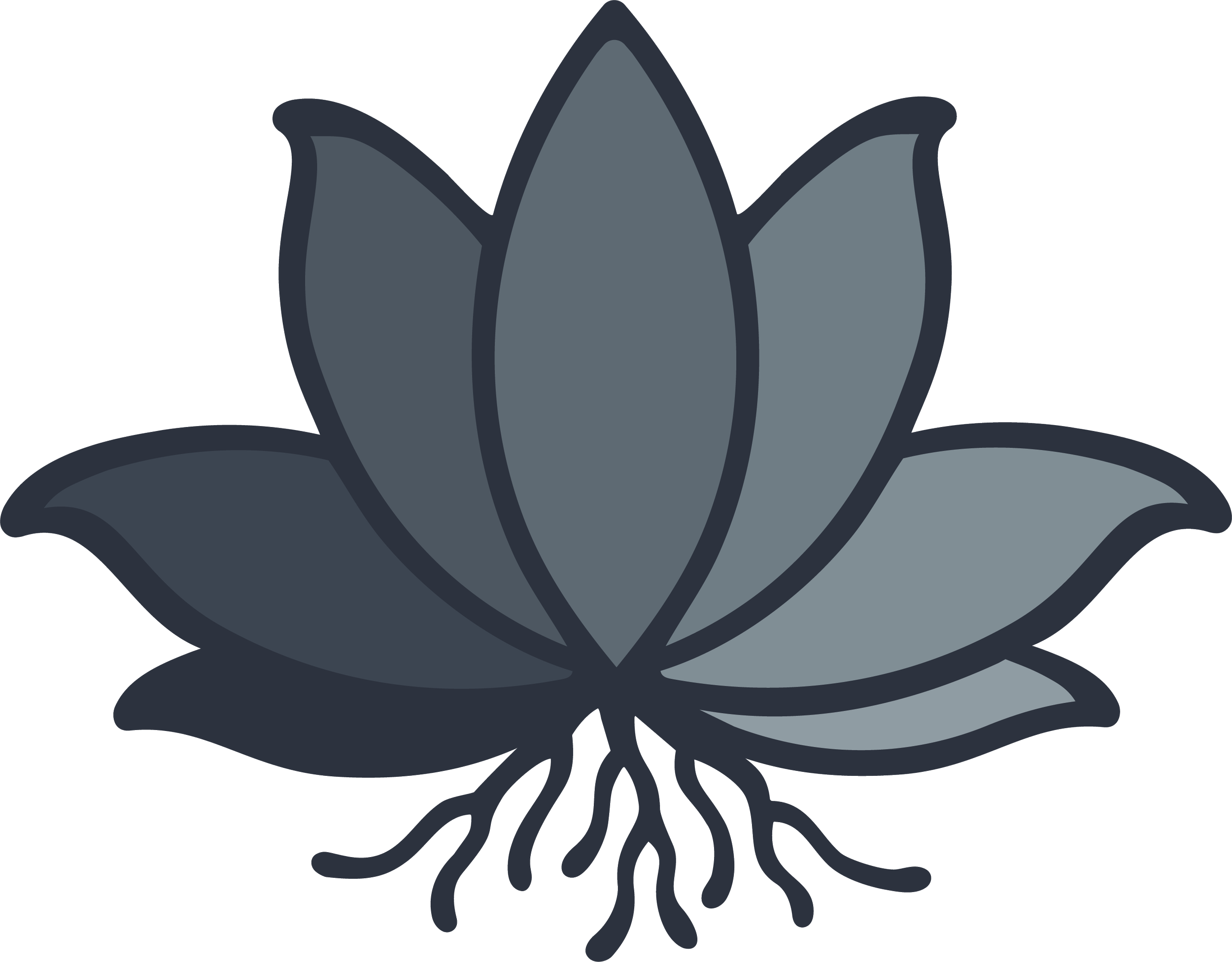 Illustration of a dark gray succulent plant with multiple overlapping elongated leaves, and visible roots at the bottom.