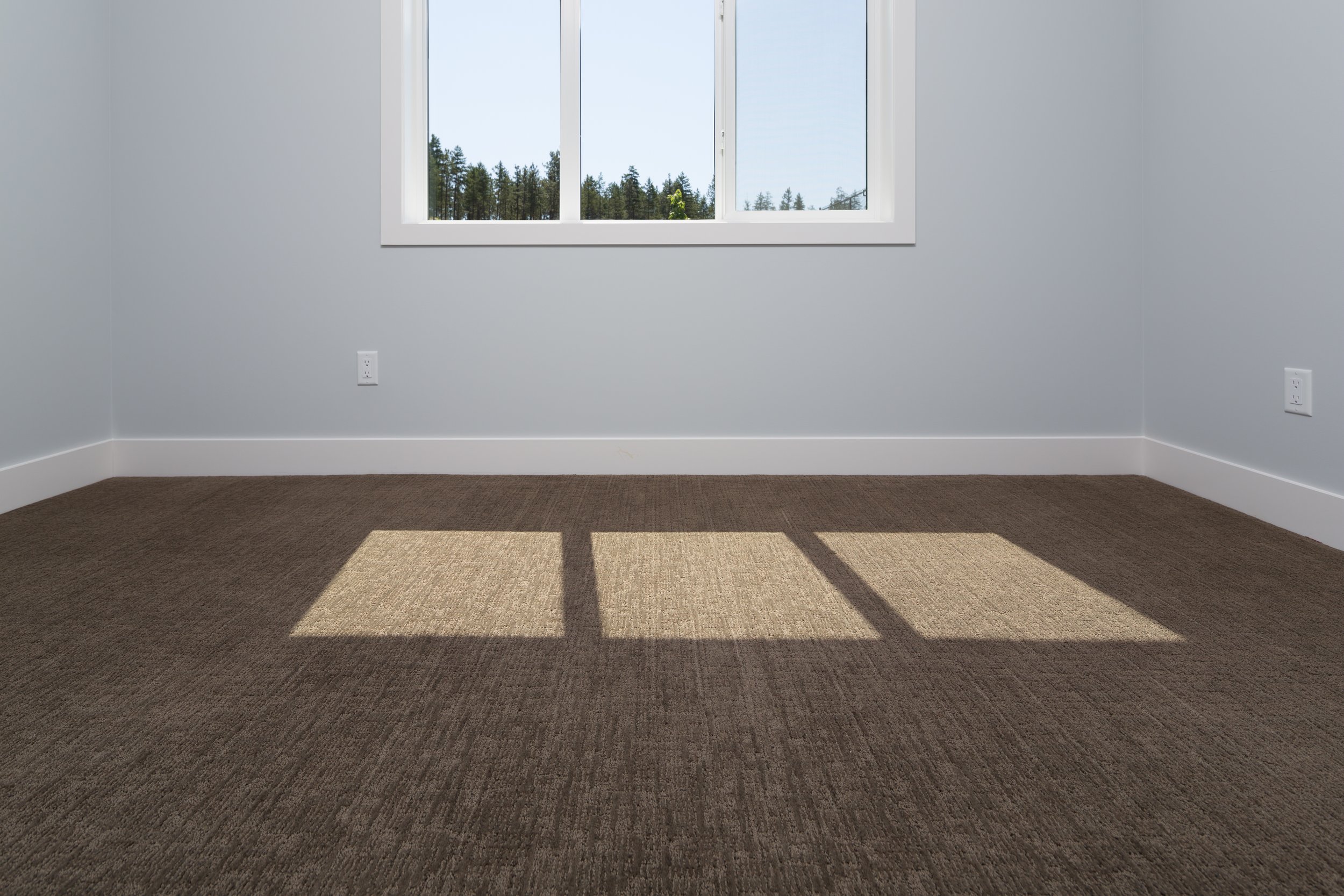 carpet flooring