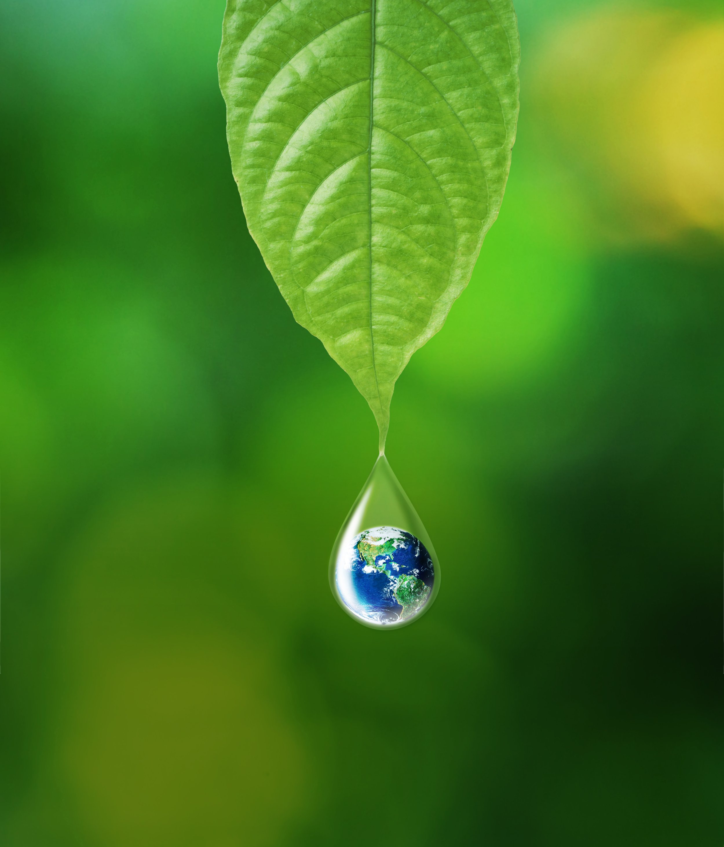 A close-up of a green leaf with a water droplet hanging from the tip. The droplet contains a reflection of Earth, showing North and South America, Africa, and parts of Europe and Asia, against a blurred green background.