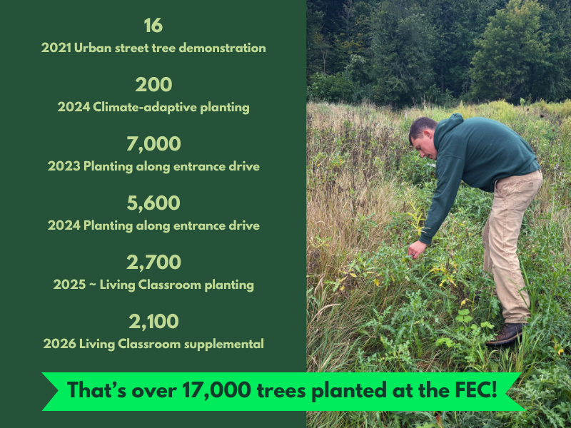 Tree plantings at the FEC contribute to Wisconsin's Trillion Trees pledge! Pictured: Forester Ben Ross inspecting the Living Classroom planting in 2025.