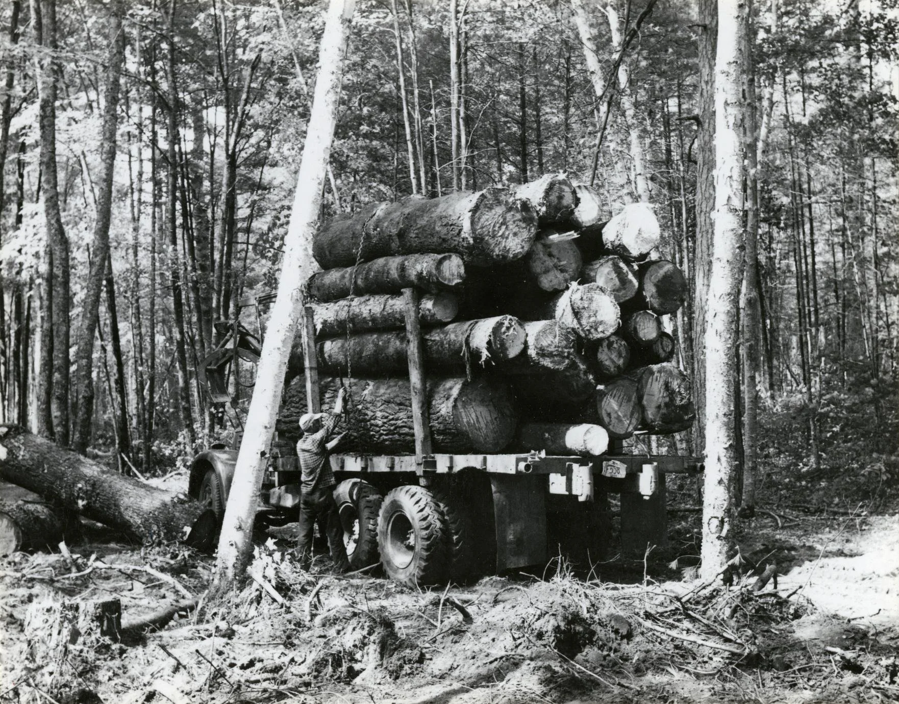 Logging Operation