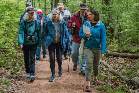 Spring Ephemerals & Edible Plants in an Urban Gem