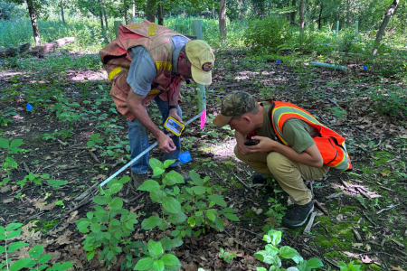 Through the Eyes of a Forester: the Art of Ecological Forestry