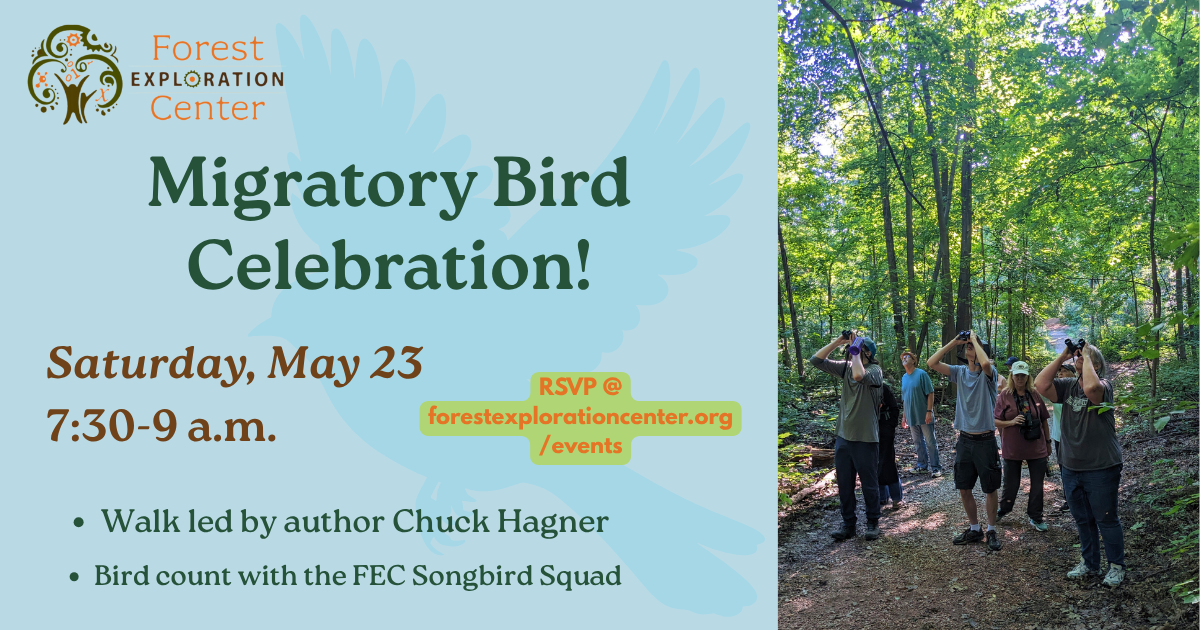 Migratory Bird Celebration