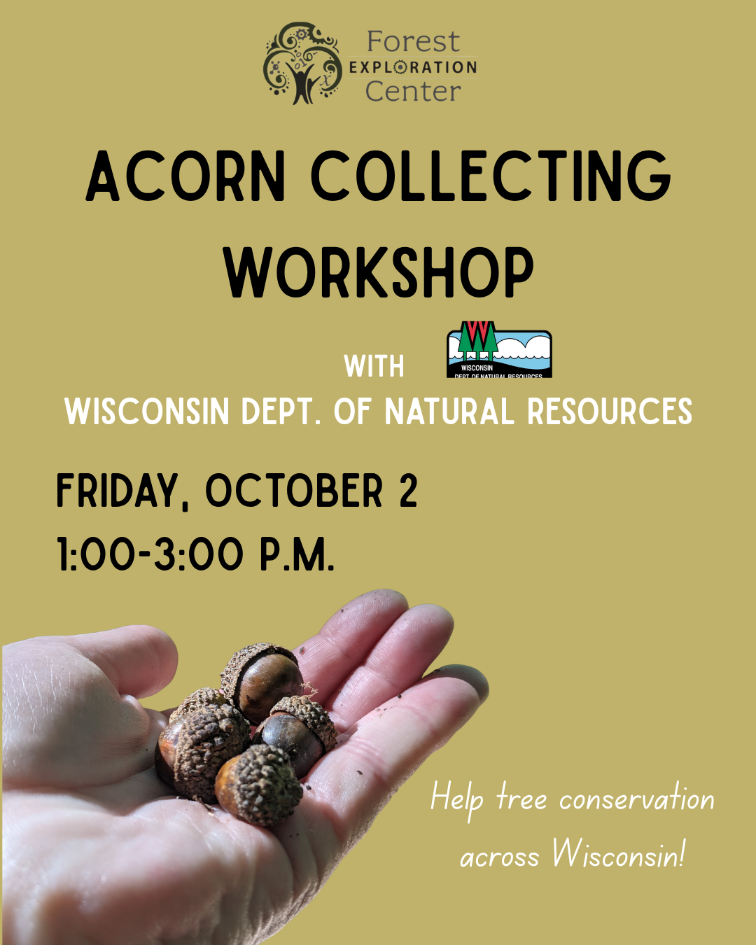 Acorn Collecting Workshop with Wisconsin DNR