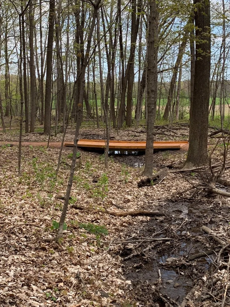 Boardwalk over ravine