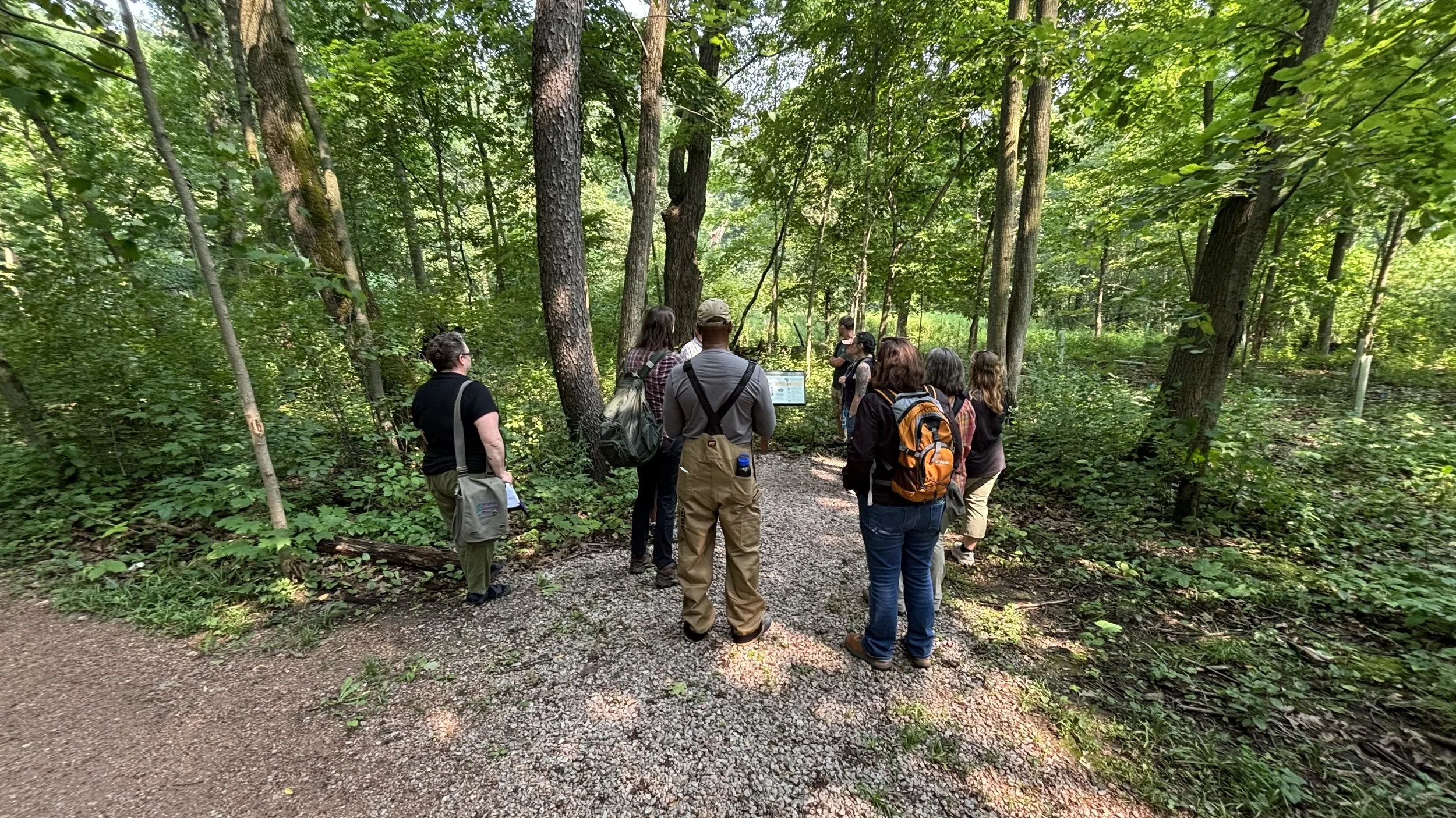 The Forest today, welcoming all for education and recreation