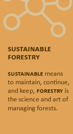 Sustainable forestry: Sustainable means to maintain, continue, and keep. Forestry is the science and art of managing forests.