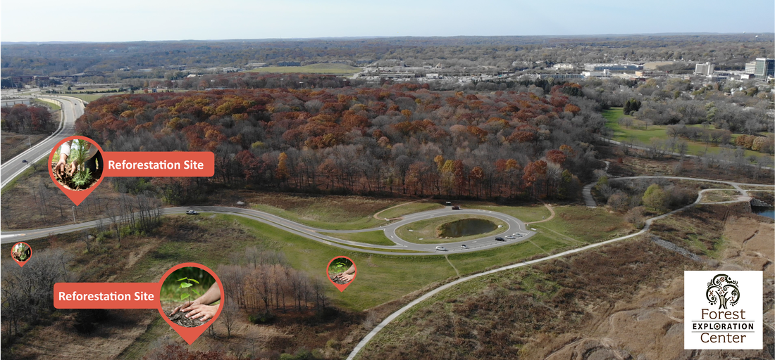 An aerial view of the Forest Exploration Center woodland and parking lot with markers for four reforestation sites in the foreground