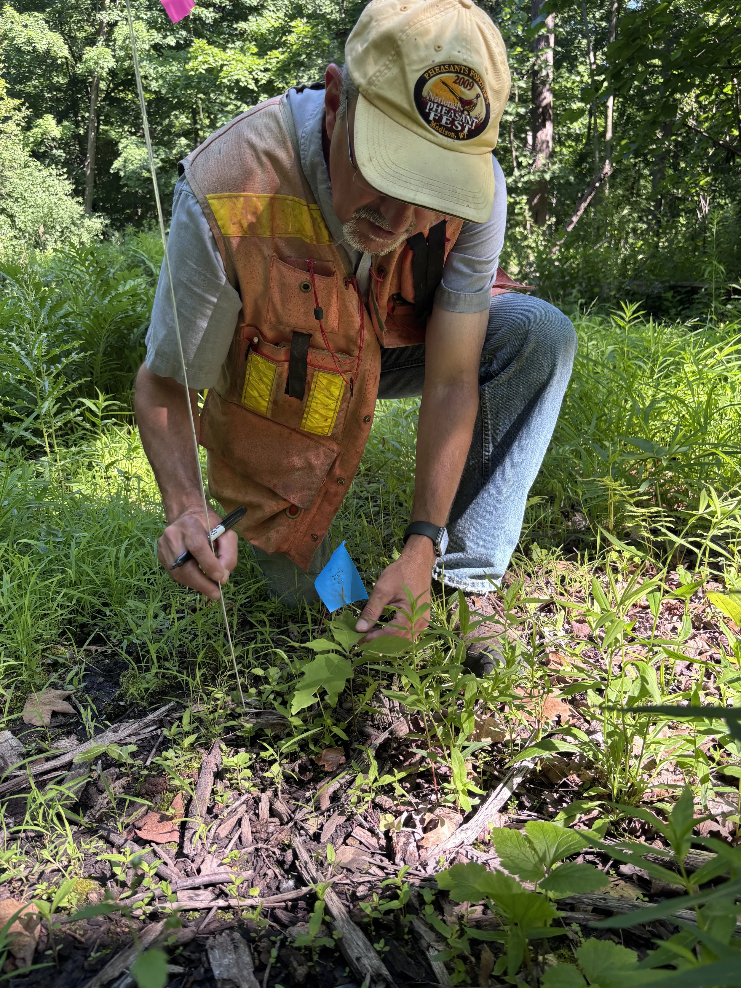 A man kneels on the ground with a marker, looking at a small tree.