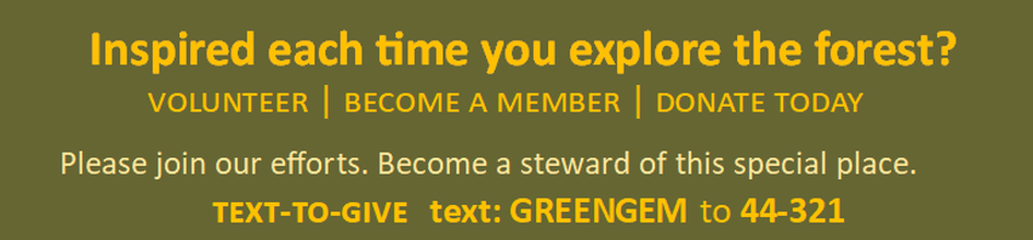 Inspired each time you explore the Forest? Volunteer or donate today. Text GREENGEM to 44-321