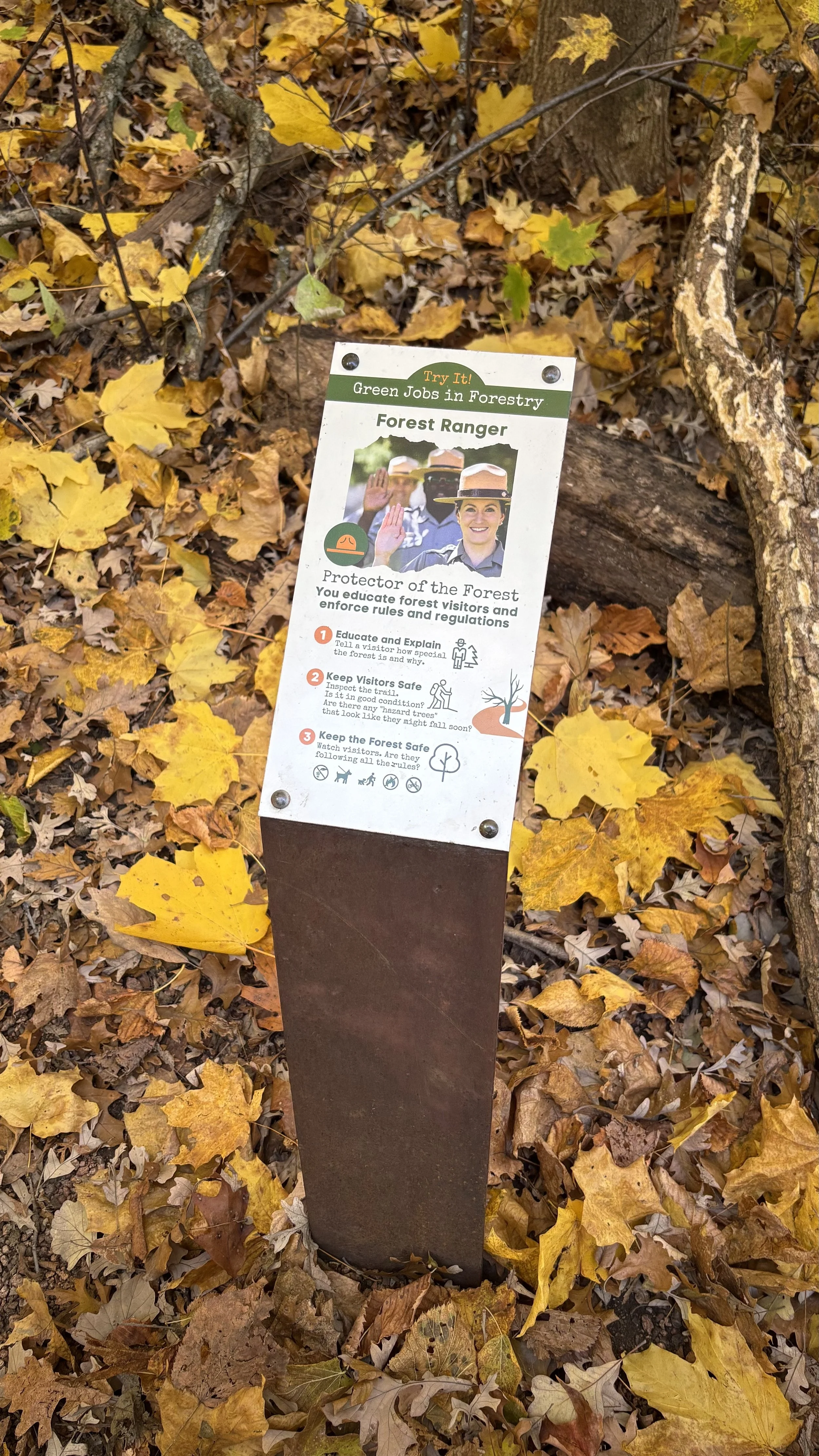 Image of the Trailside Explorer Try It! sign exploring the job of a Forest Ranger