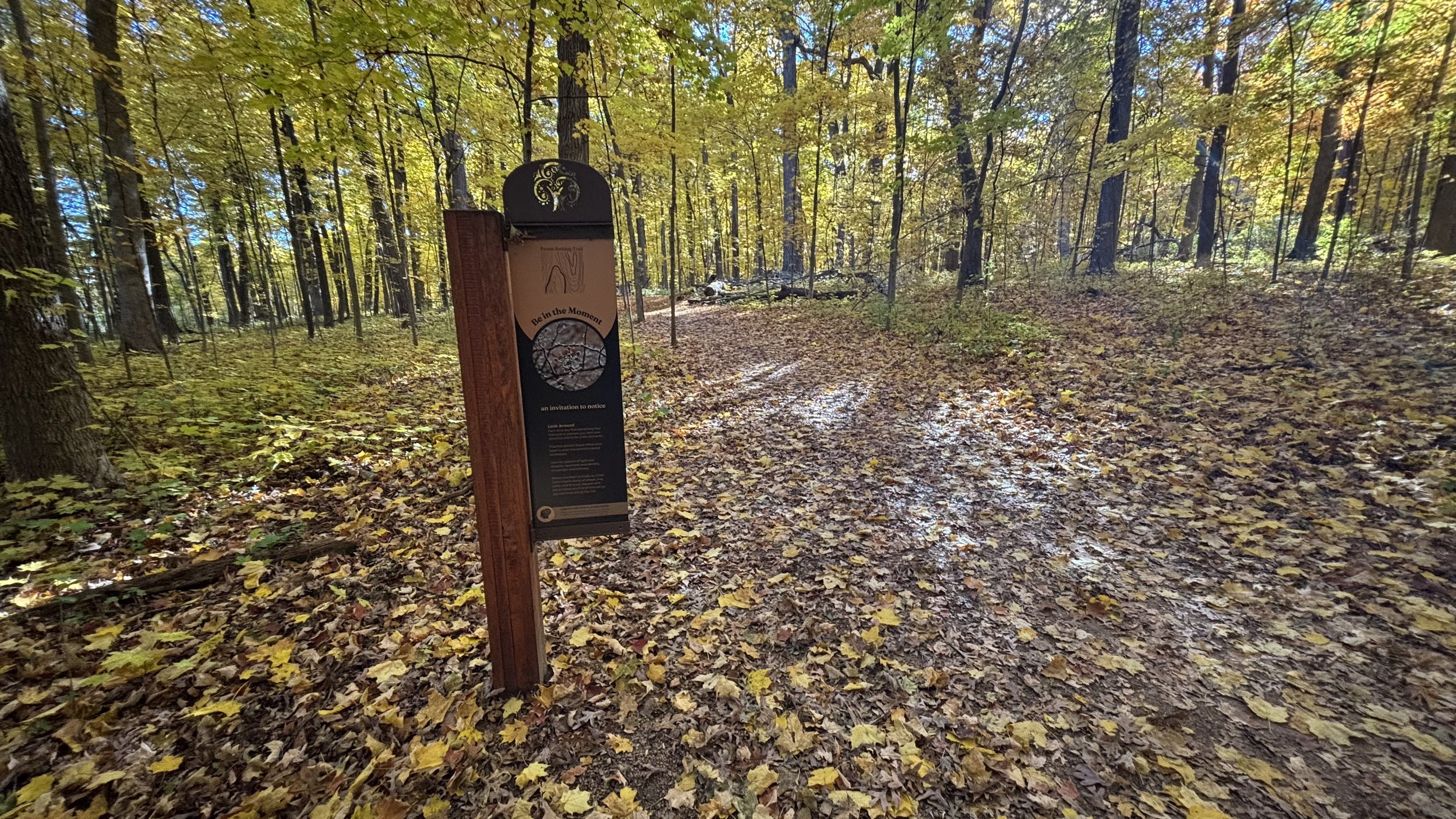 An image of one of the forest bathing trail signs on a sunny fall day